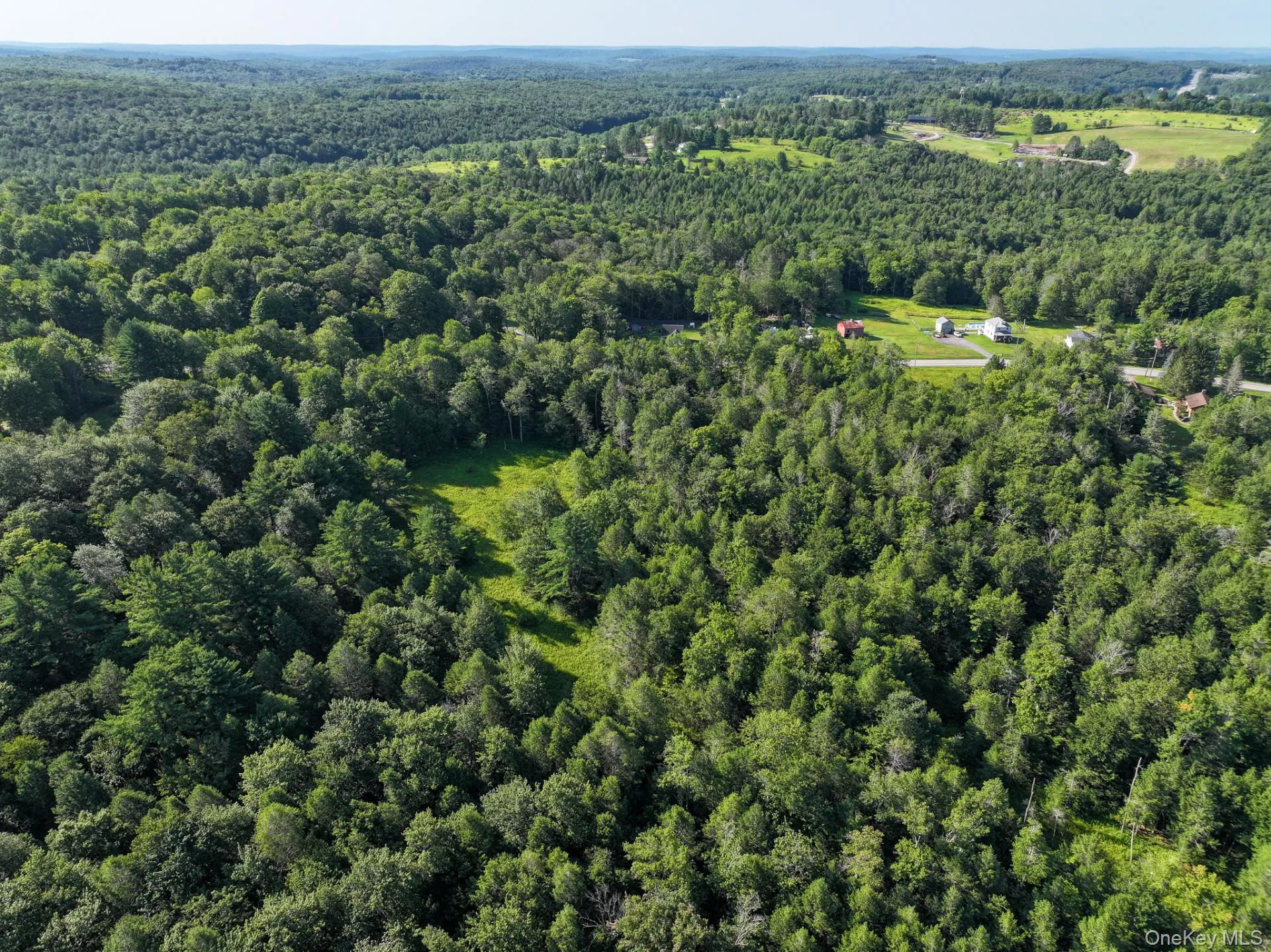 LOT 3 Neversink Road, Liberty, NY, ,Land,For Rent,Neversink,0,1033274 LOT 3 Neversink Road, Liberty, NY, ,Land,For Rent,Neversink,0,1033274