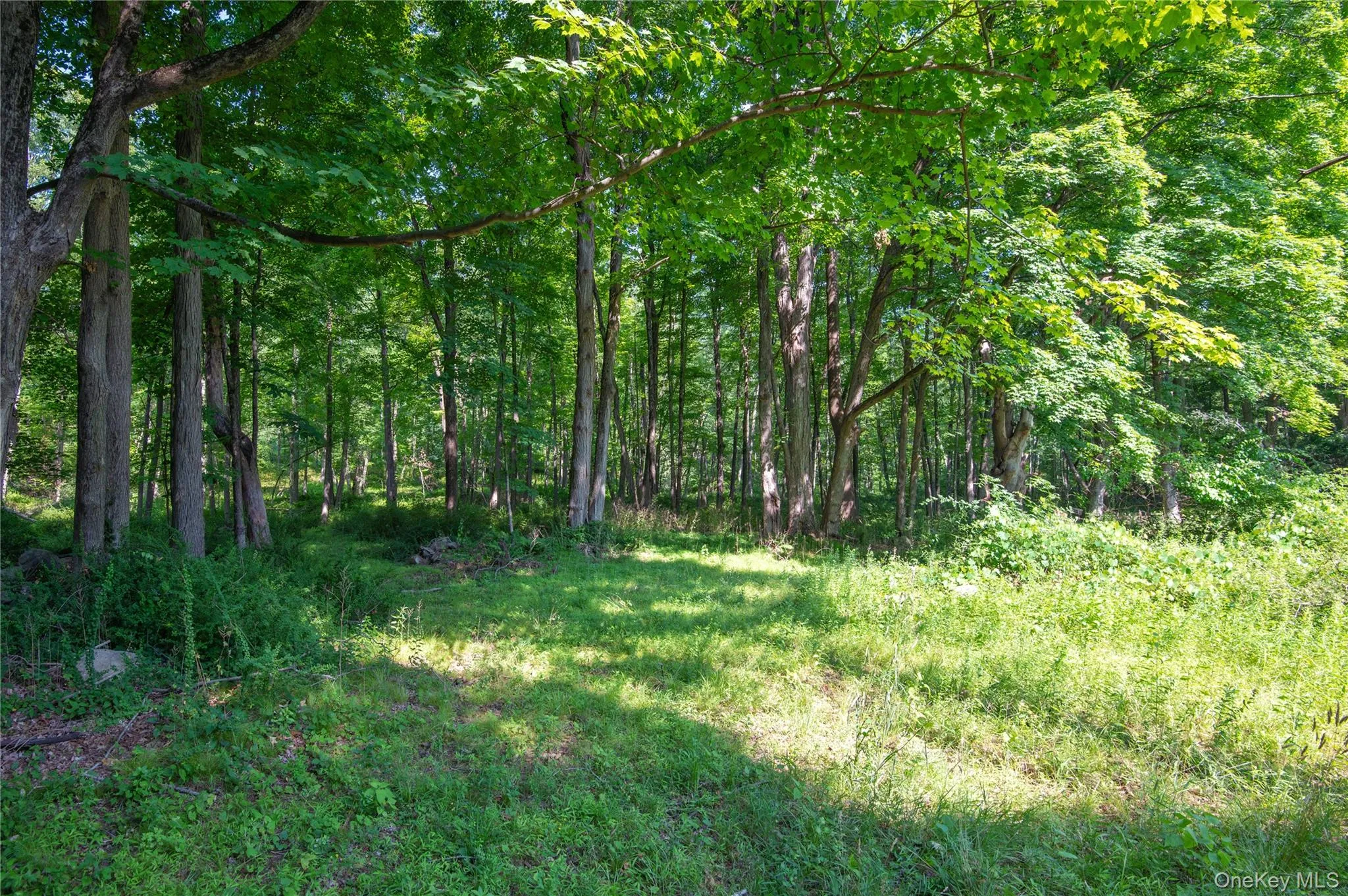 139 Smith Ridge Road, Lewisboro, NY, 3 Bedrooms Bedrooms, 9 Rooms Rooms,2 BathroomsBathrooms,Residential,For Rent,Smith Ridge,0,1033275 139 Smith Ridge Road, Lewisboro, NY, 3 Bedrooms Bedrooms, 9 Rooms Rooms,2 BathroomsBathrooms,Residential,For Rent,Smith Ridge,0,1033275