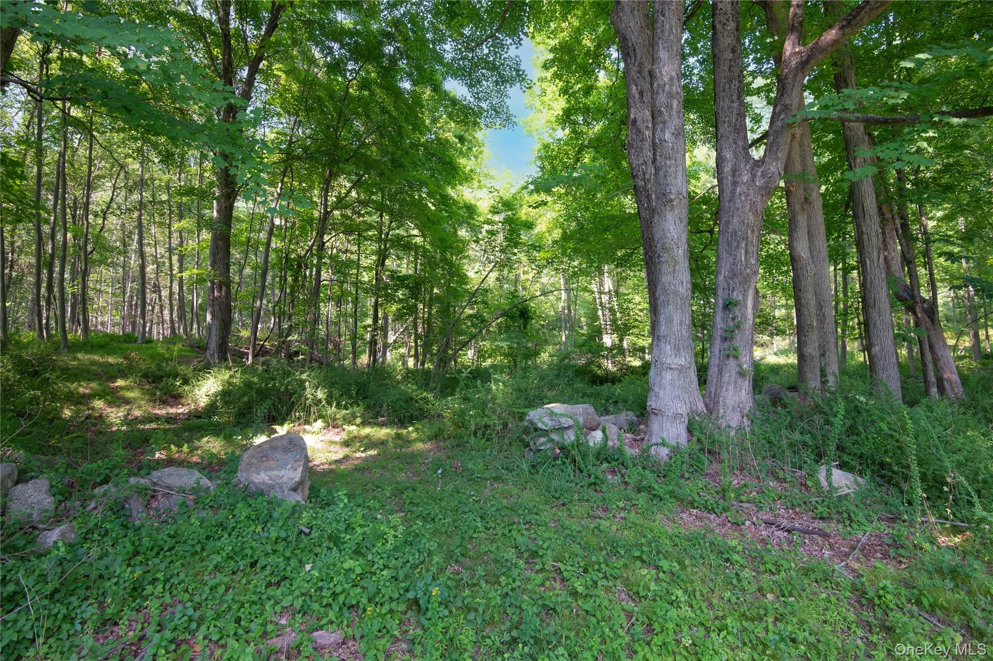 139 Smith Ridge Road, Lewisboro, NY, 3 Bedrooms Bedrooms, 9 Rooms Rooms,2 BathroomsBathrooms,Residential,For Rent,Smith Ridge,0,1033275 139 Smith Ridge Road, Lewisboro, NY, 3 Bedrooms Bedrooms, 9 Rooms Rooms,2 BathroomsBathrooms,Residential,For Rent,Smith Ridge,0,1033275