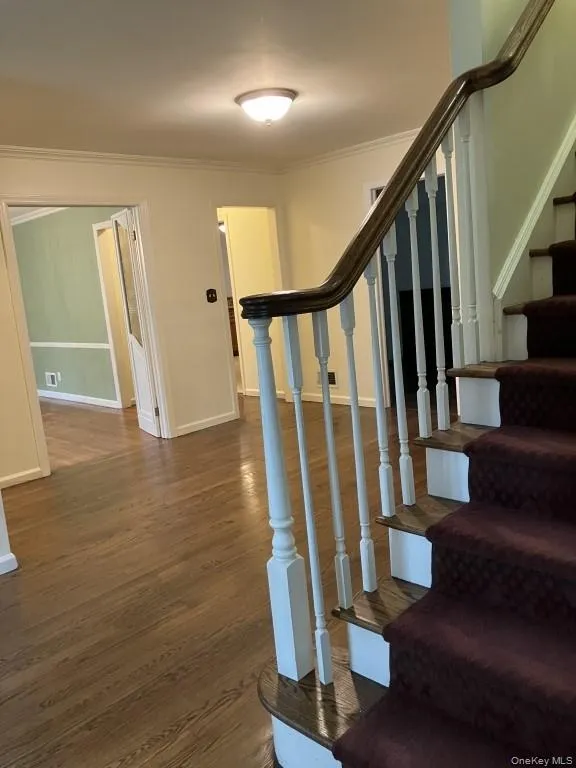 20 Springdale Road, Scarsdale, NY, 5 Bedrooms Bedrooms, 10 Rooms Rooms,3 BathroomsBathrooms,Residential Lease,For Rent,Springdale,0,1033281 20 Springdale Road, Scarsdale, NY, 5 Bedrooms Bedrooms, 10 Rooms Rooms,3 BathroomsBathrooms,Residential Lease,For Rent,Springdale,0,1033281