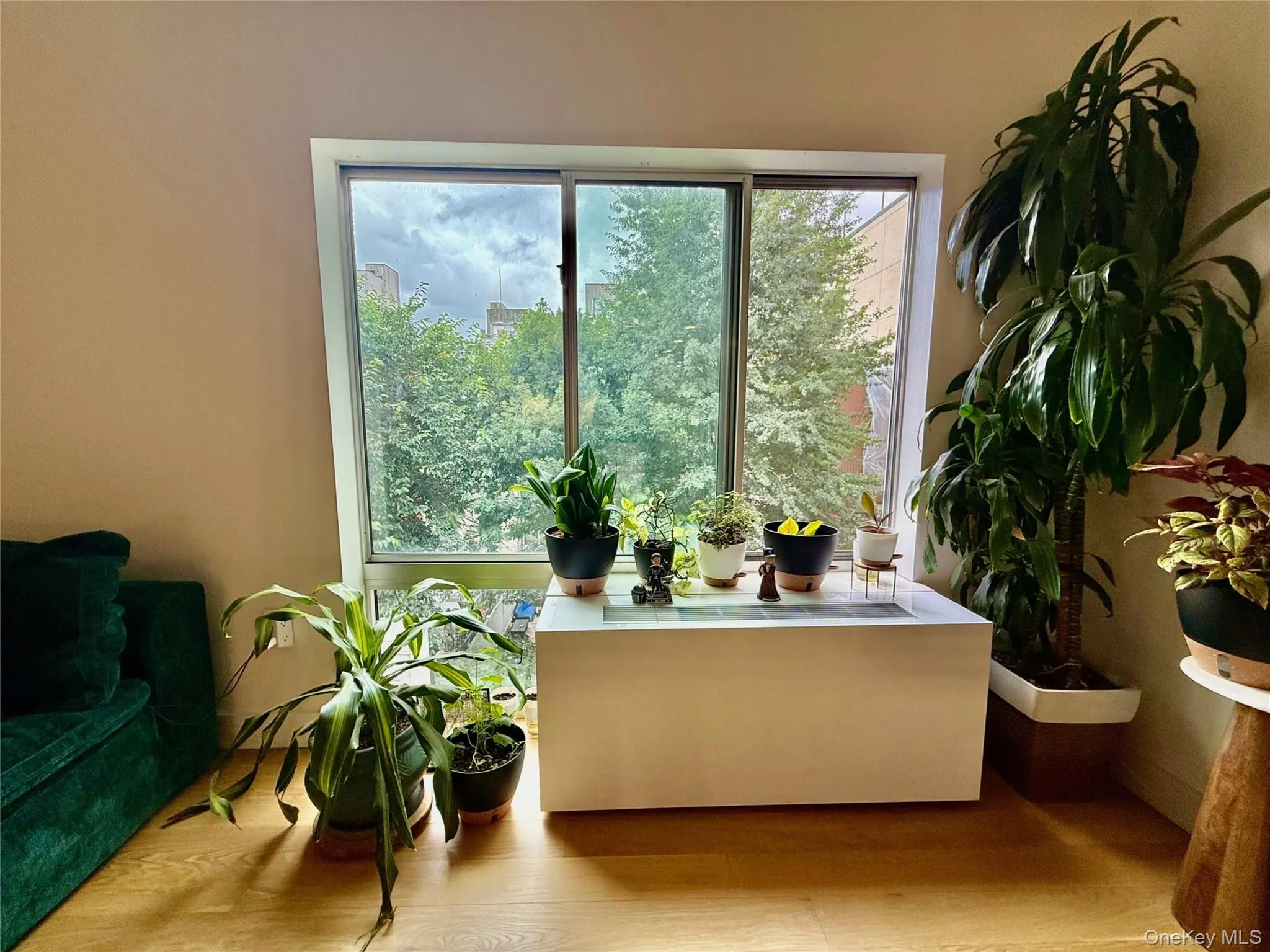 152 118th Street, New York, NY, 2 Bedrooms Bedrooms, 4 Rooms Rooms,2 BathroomsBathrooms,Residential,For Rent,118th,0,1033337 152 118th Street, New York, NY, 2 Bedrooms Bedrooms, 4 Rooms Rooms,2 BathroomsBathrooms,Residential,For Rent,118th,0,1033337