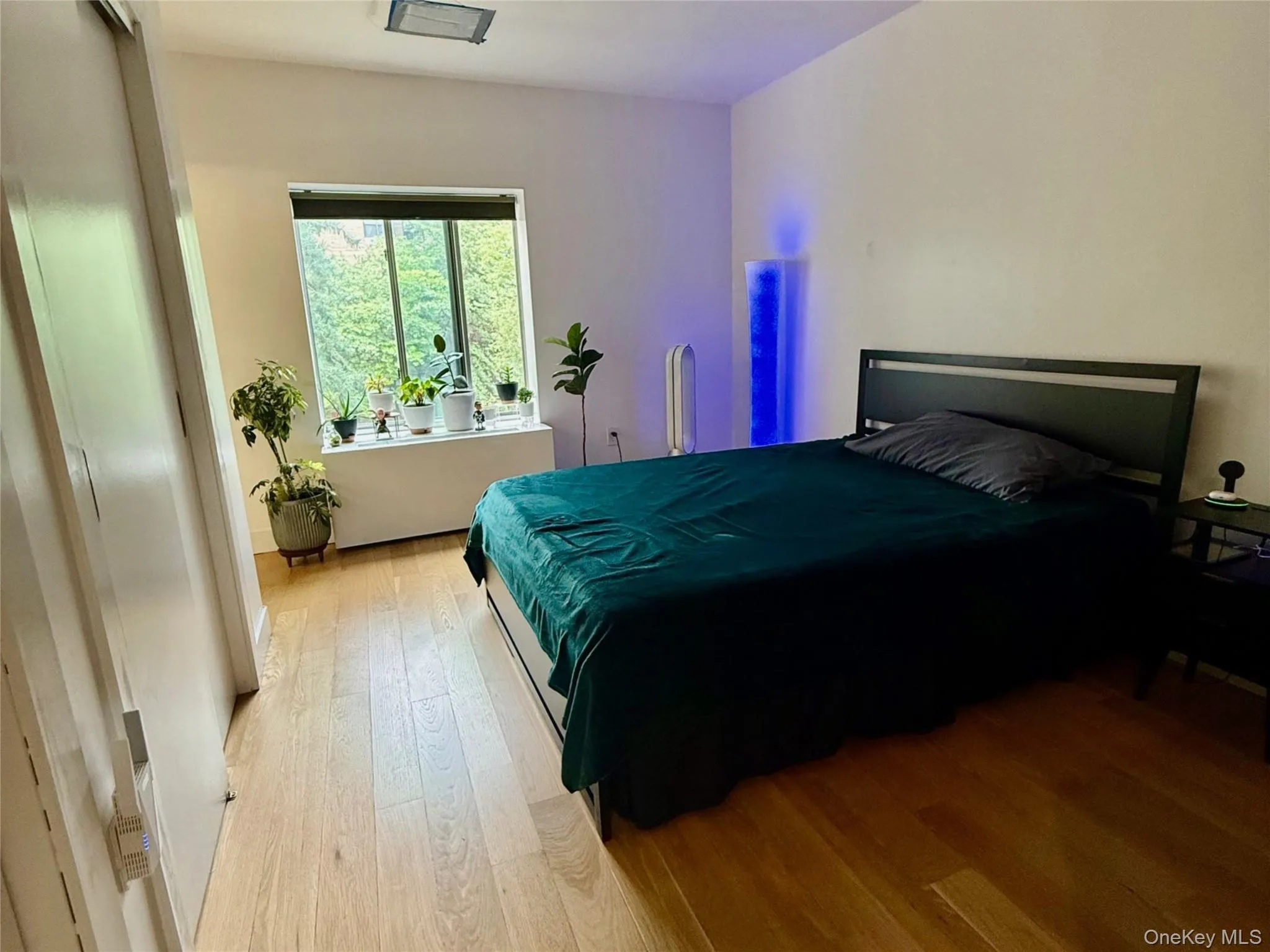 152 118th Street, New York, NY, 2 Bedrooms Bedrooms, 4 Rooms Rooms,2 BathroomsBathrooms,Residential,For Rent,118th,0,1033337 152 118th Street, New York, NY, 2 Bedrooms Bedrooms, 4 Rooms Rooms,2 BathroomsBathrooms,Residential,For Rent,118th,0,1033337