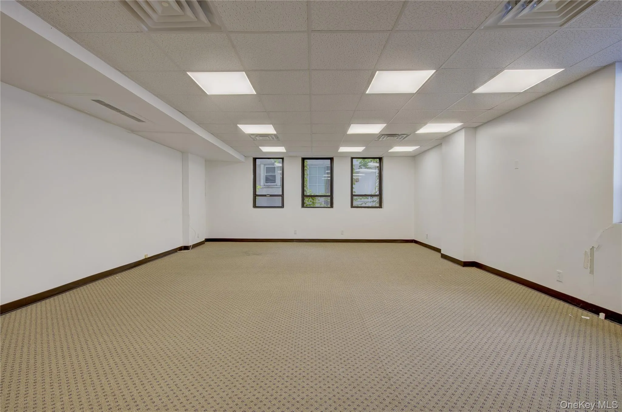 Spare room featuring a paneled ceiling, light carpet, and baseboards Spare room featuring a paneled ceiling, light carpet, and baseboards