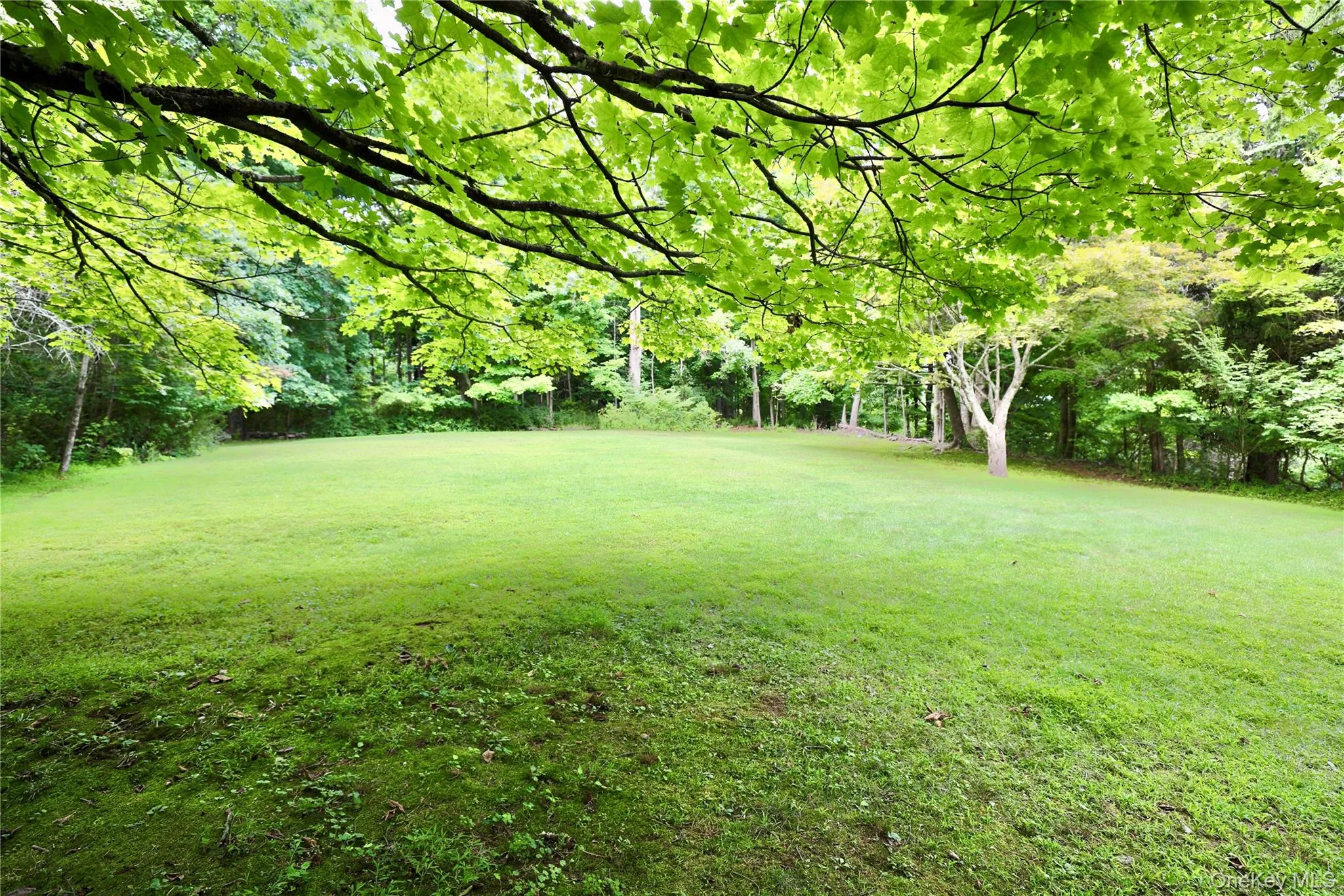97 Morningside Drive, Ossining, NY, 4 Bedrooms Bedrooms, 8 Rooms Rooms,1 BathroomBathrooms,Residential,For Rent,Morningside,0,1033351 97 Morningside Drive, Ossining, NY, 4 Bedrooms Bedrooms, 8 Rooms Rooms,1 BathroomBathrooms,Residential,For Rent,Morningside,0,1033351