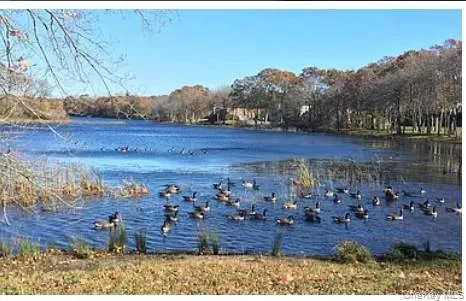 214 Artist Lake Drive, Brookhaven, NY, 1 Bedroom Bedrooms, 4 Rooms Rooms,1 BathroomBathrooms,Residential Lease,For Rent,Artist Lake,0,1033357 214 Artist Lake Drive, Brookhaven, NY, 1 Bedroom Bedrooms, 4 Rooms Rooms,1 BathroomBathrooms,Residential Lease,For Rent,Artist Lake,0,1033357