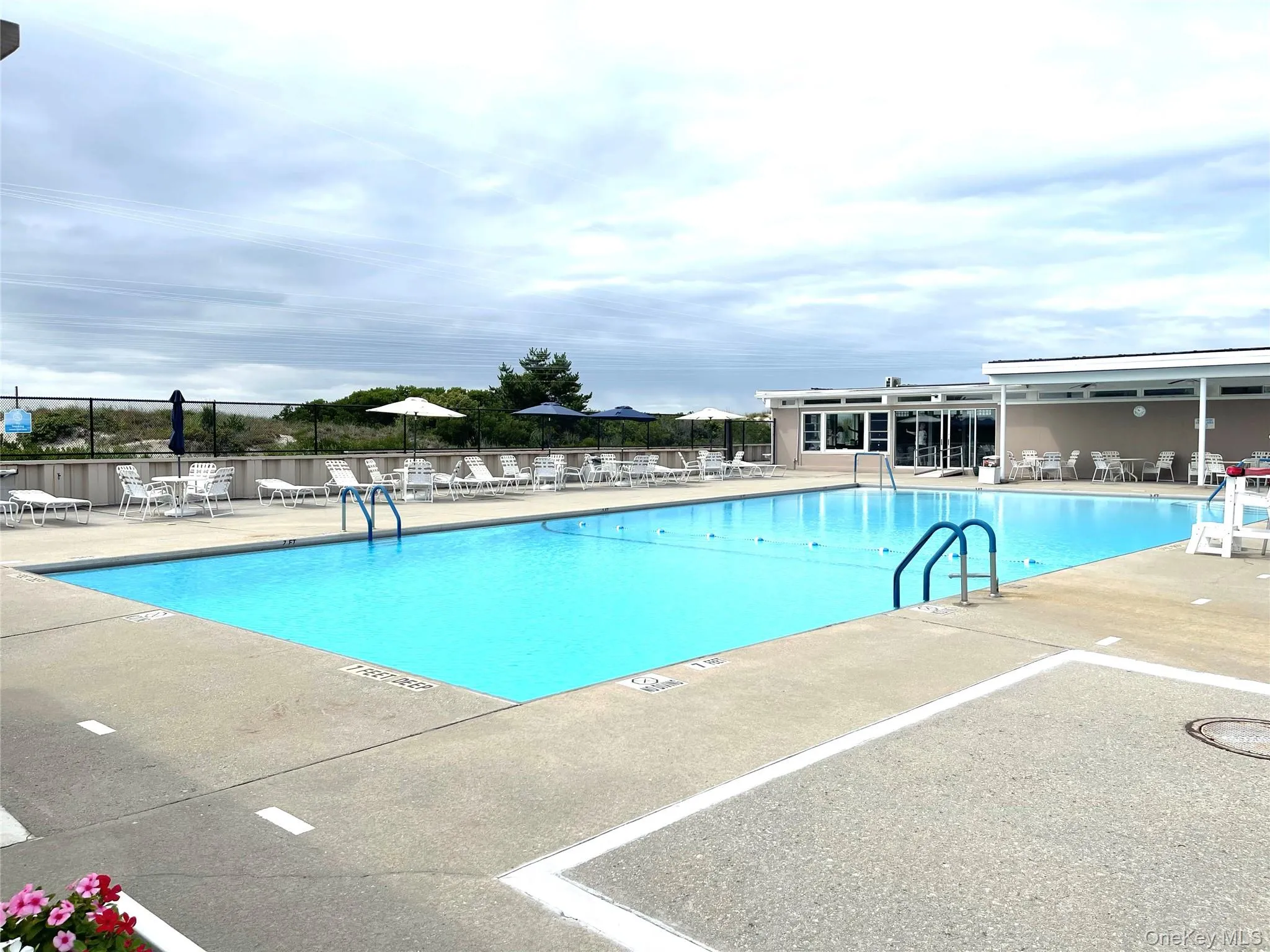 Solar heated pool Solar heated pool