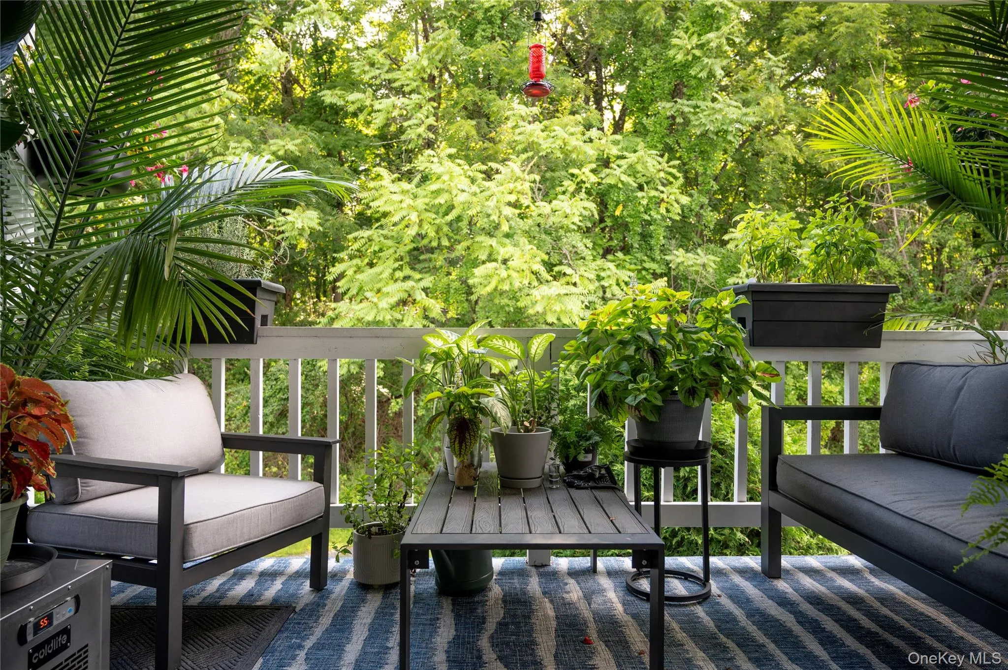 Your oasis awaits! Your oasis awaits!