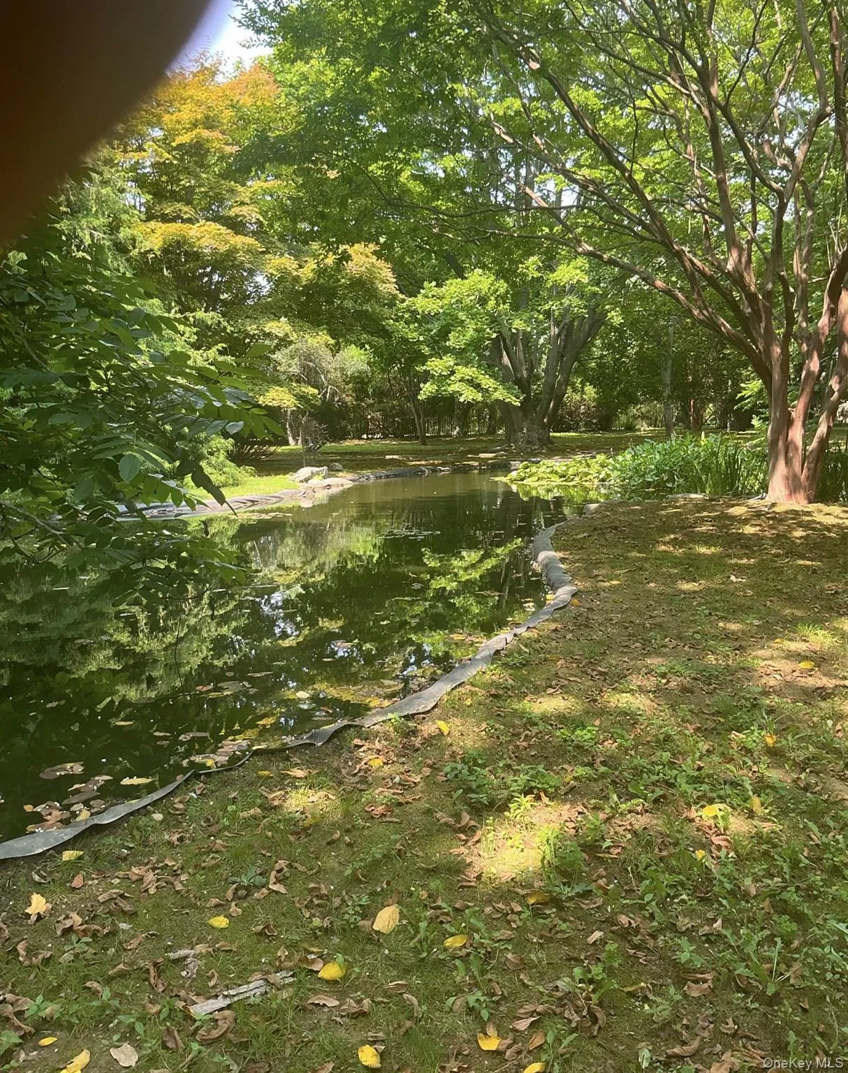 160 Pelletreu Street, Southampton, NY, 3 Bedrooms Bedrooms, 5 Rooms Rooms,2 BathroomsBathrooms,Residential Lease,For Rent,Pelletreu,0,1033400 160 Pelletreu Street, Southampton, NY, 3 Bedrooms Bedrooms, 5 Rooms Rooms,2 BathroomsBathrooms,Residential Lease,For Rent,Pelletreu,0,1033400