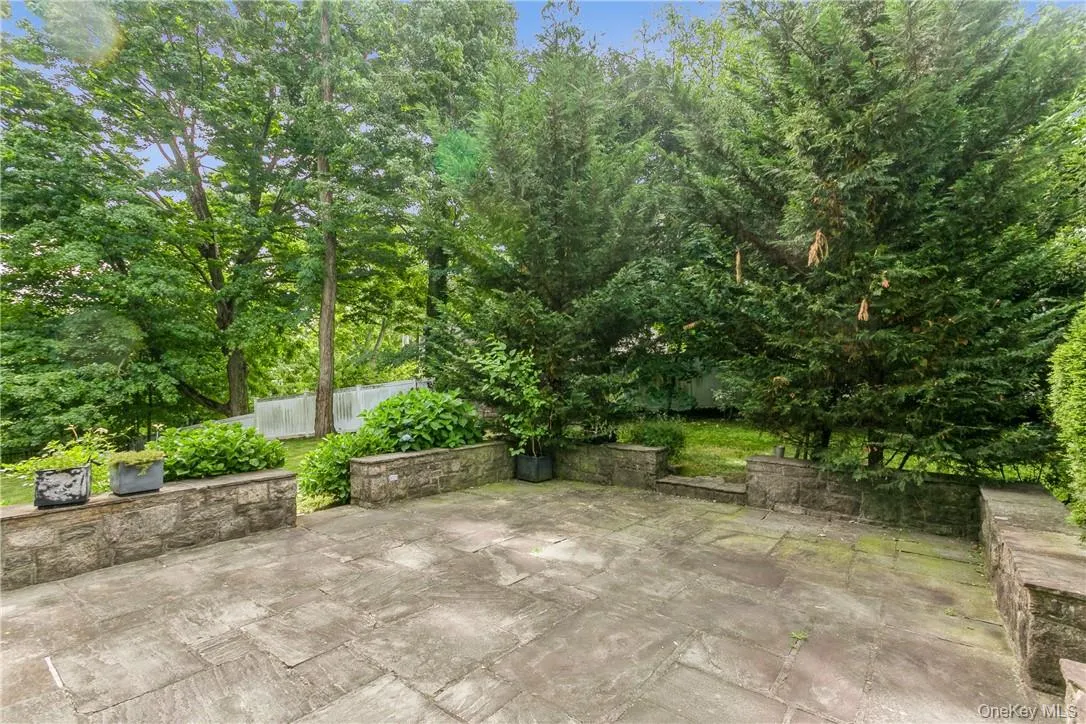 Look at this patio. Look at this patio.
