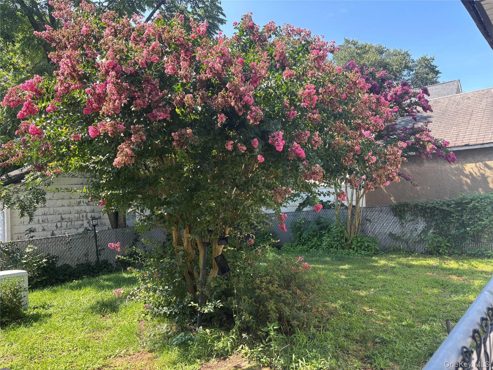 4 Spruce Place, North Hempstead, NY, 3 Bedrooms Bedrooms, 7 Rooms Rooms,1 BathroomBathrooms,Residential,For Rent,Spruce,0,1033431 4 Spruce Place, North Hempstead, NY, 3 Bedrooms Bedrooms, 7 Rooms Rooms,1 BathroomBathrooms,Residential,For Rent,Spruce,0,1033431