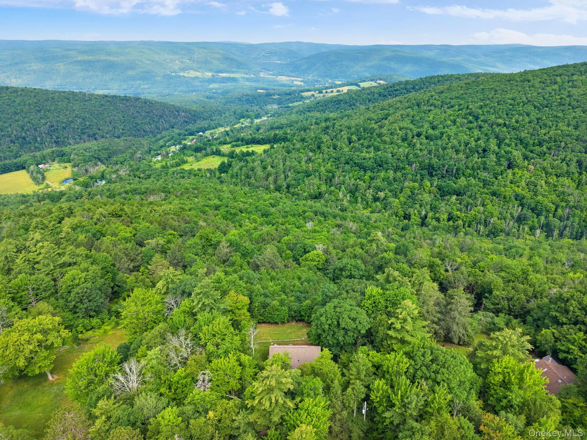 415 High Pine Meadows Rd Road, Out Of Area, NY, 4 Bedrooms Bedrooms, 9 Rooms Rooms,1 BathroomBathrooms,Residential,For Rent,High Pine Meadows Rd,0,1033471 415 High Pine Meadows Rd Road, Out Of Area, NY, 4 Bedrooms Bedrooms, 9 Rooms Rooms,1 BathroomBathrooms,Residential,For Rent,High Pine Meadows Rd,0,1033471