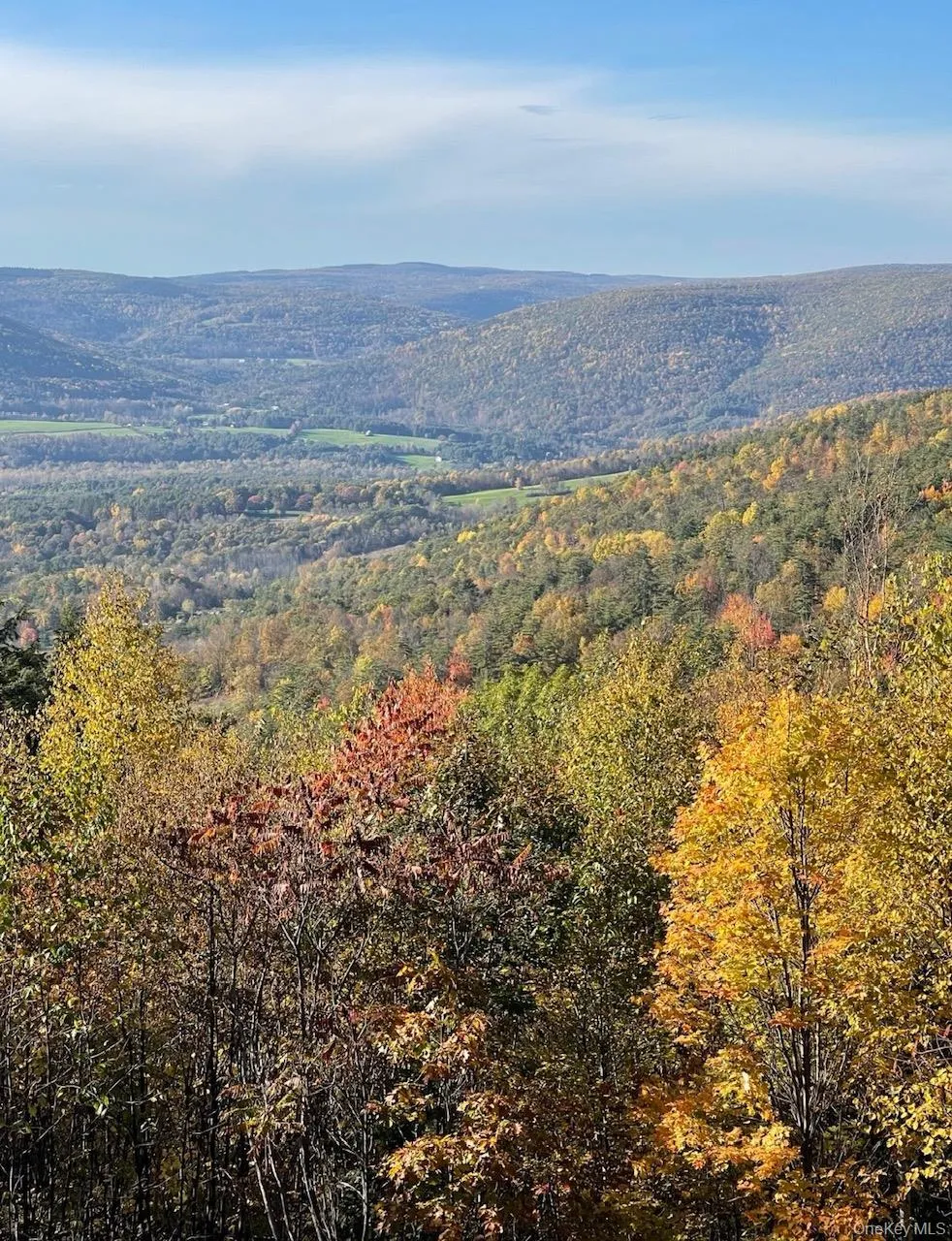 415 High Pine Meadows Rd Road, Out Of Area, NY, 4 Bedrooms Bedrooms, 9 Rooms Rooms,1 BathroomBathrooms,Residential,For Rent,High Pine Meadows Rd,0,1033471 415 High Pine Meadows Rd Road, Out Of Area, NY, 4 Bedrooms Bedrooms, 9 Rooms Rooms,1 BathroomBathrooms,Residential,For Rent,High Pine Meadows Rd,0,1033471