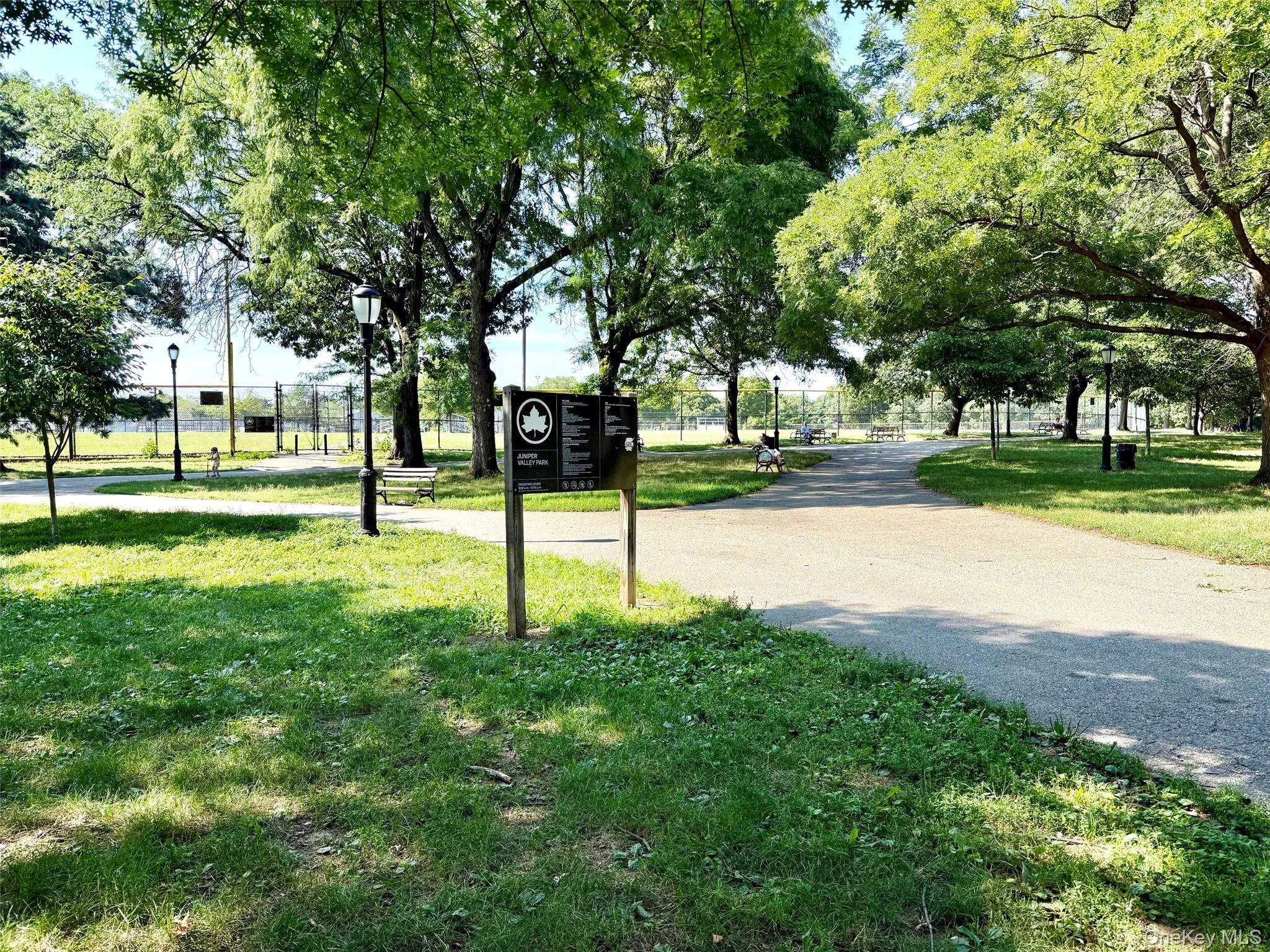 6354 77th Street, New York, NY, 3 Bedrooms Bedrooms, 7 Rooms Rooms,1 BathroomBathrooms,Residential,For Rent,77th,0,1033487 6354 77th Street, New York, NY, 3 Bedrooms Bedrooms, 7 Rooms Rooms,1 BathroomBathrooms,Residential,For Rent,77th,0,1033487