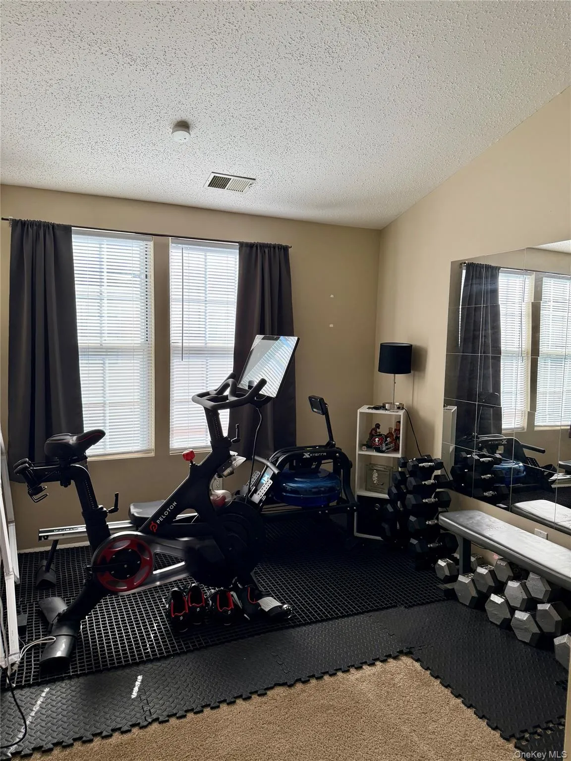 Exercise room featuring a textured ceiling Exercise room featuring a textured ceiling