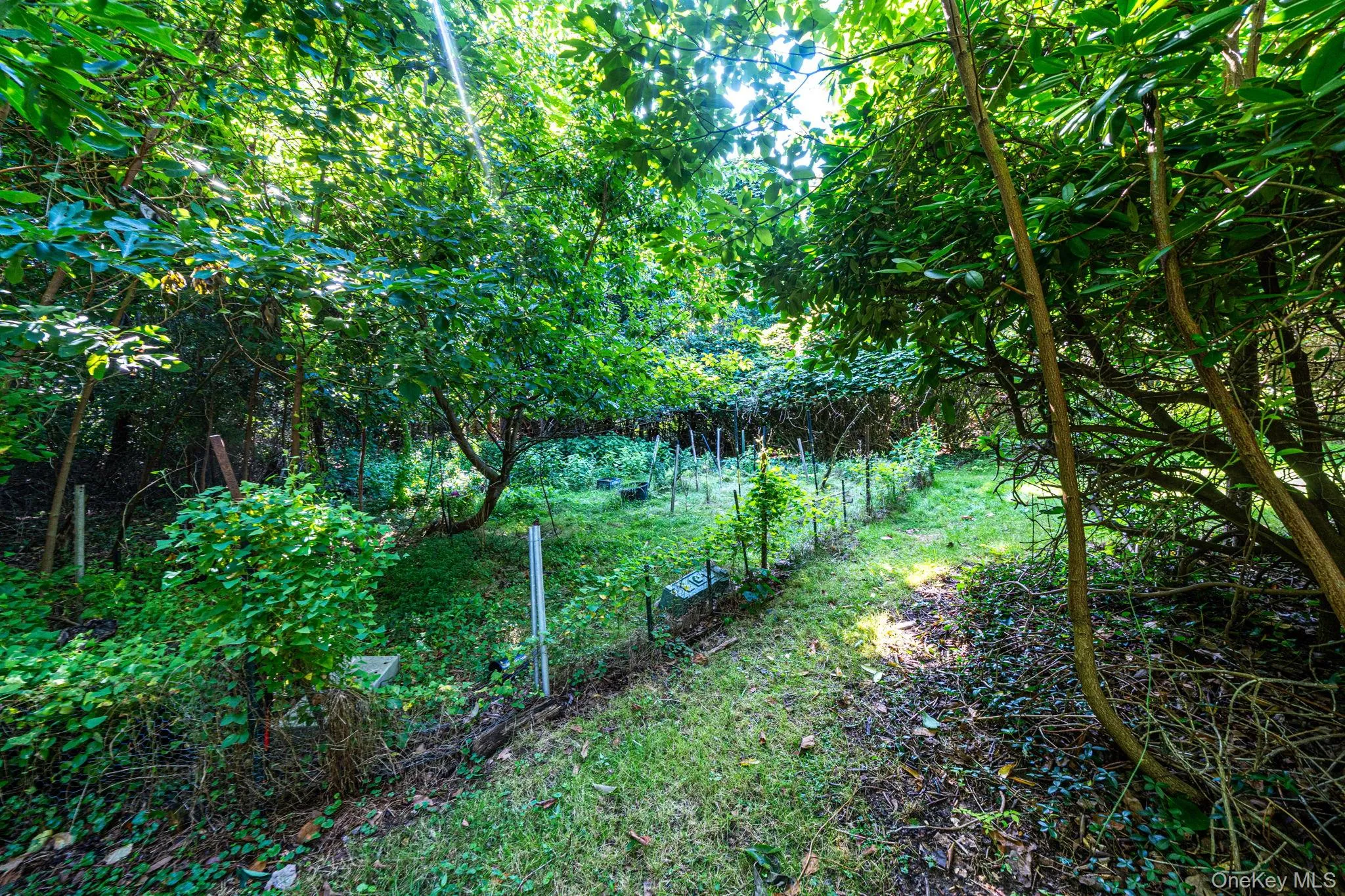 8 Dartmouth Road, Brookhaven, NY, 4 Bedrooms Bedrooms, 8 Rooms Rooms,2 BathroomsBathrooms,Residential,For Rent,Dartmouth,0,1033504 8 Dartmouth Road, Brookhaven, NY, 4 Bedrooms Bedrooms, 8 Rooms Rooms,2 BathroomsBathrooms,Residential,For Rent,Dartmouth,0,1033504