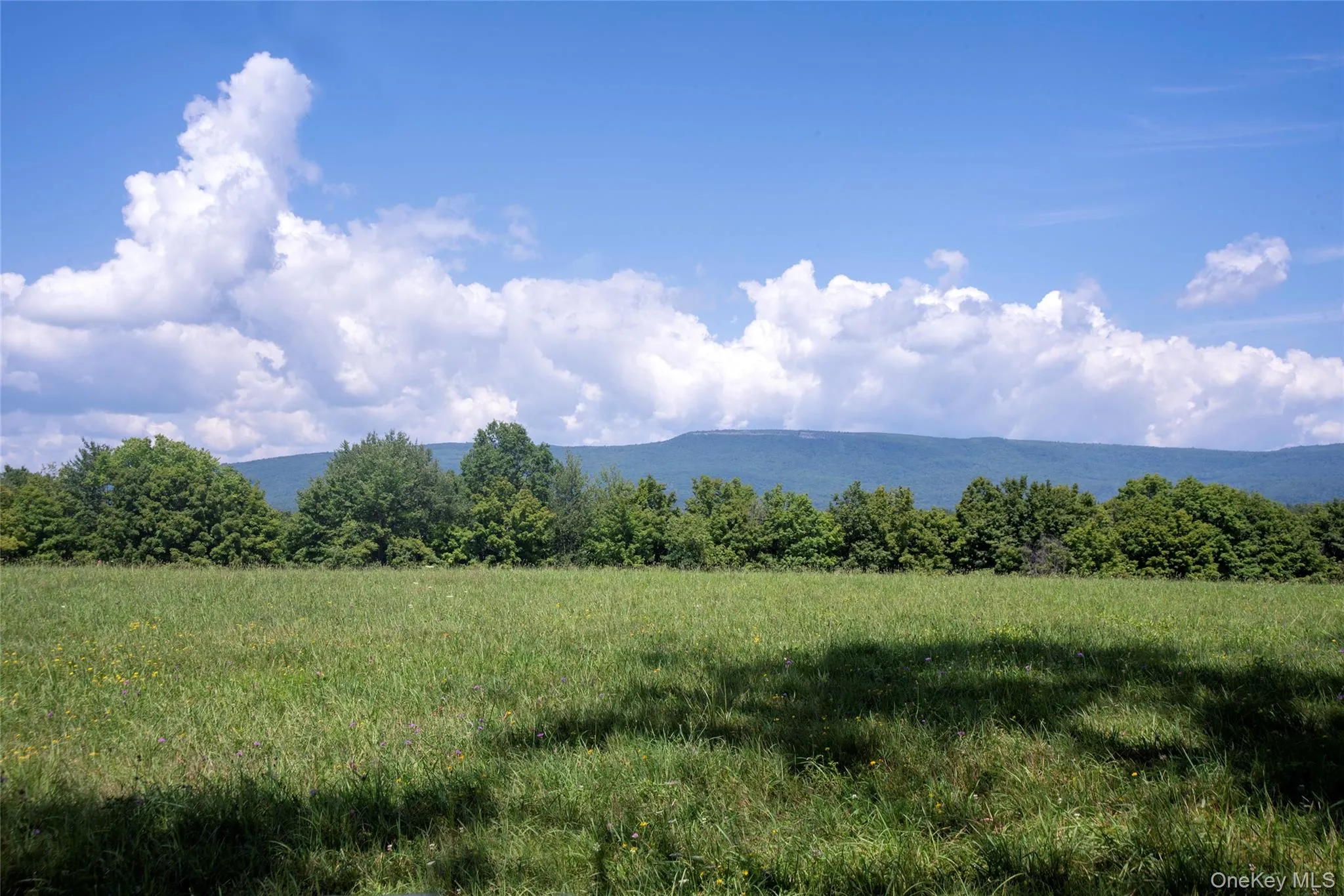 28 Pirog Road, Shawangunk, NY, 3 Bedrooms Bedrooms, 6 Rooms Rooms,1 BathroomBathrooms,Residential,For Rent,Pirog,0,1033515 28 Pirog Road, Shawangunk, NY, 3 Bedrooms Bedrooms, 6 Rooms Rooms,1 BathroomBathrooms,Residential,For Rent,Pirog,0,1033515