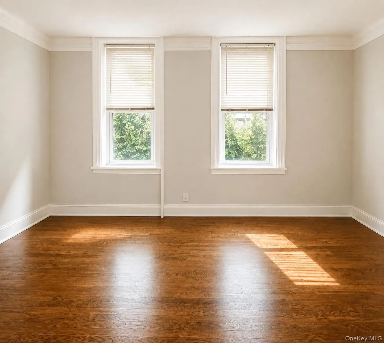 240 Suydam Street, New York, NY, 1 Bedroom Bedrooms, 3 Rooms Rooms,1 BathroomBathrooms,Residential Lease,For Rent,Suydam,0,1033563 240 Suydam Street, New York, NY, 1 Bedroom Bedrooms, 3 Rooms Rooms,1 BathroomBathrooms,Residential Lease,For Rent,Suydam,0,1033563