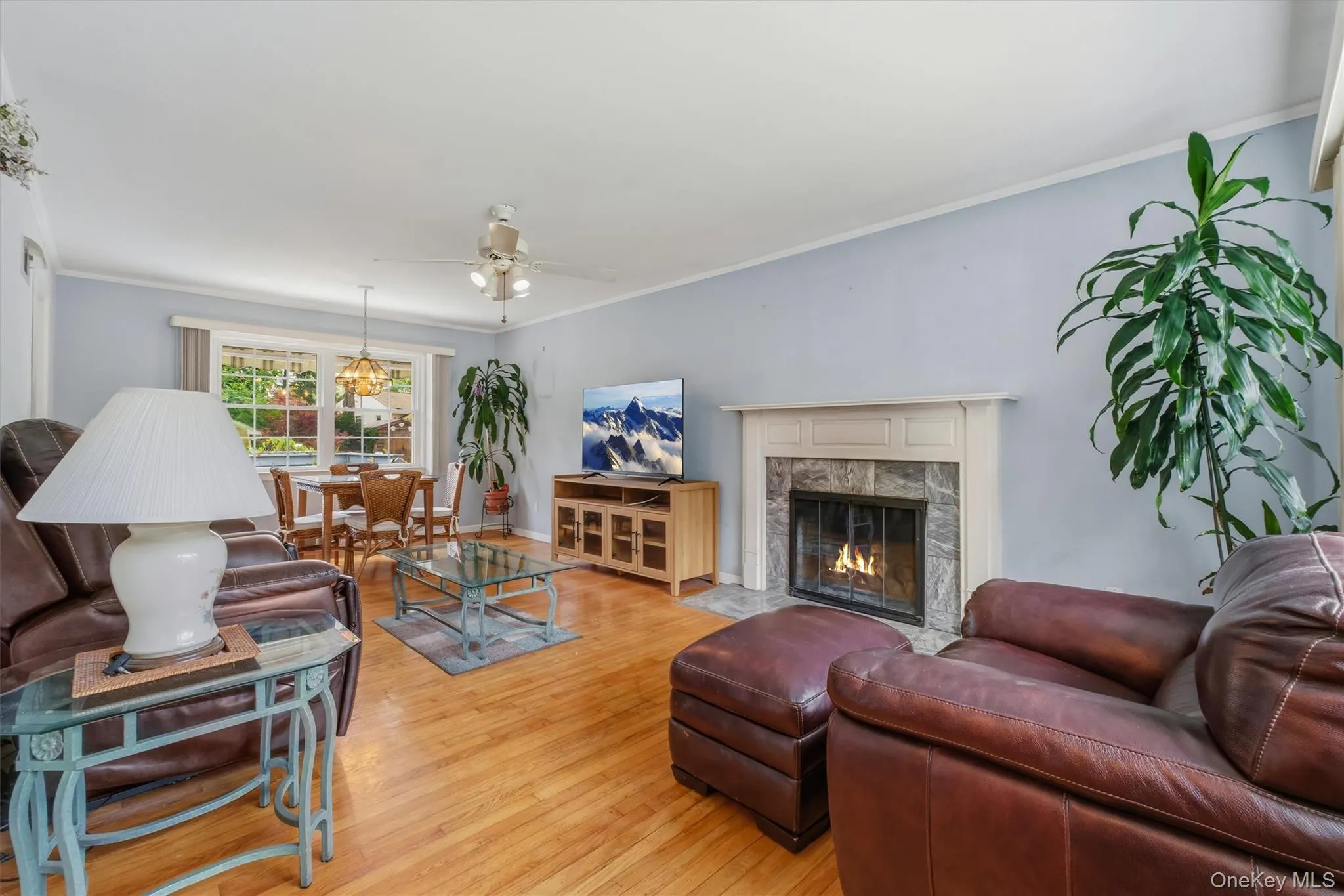 4 Broadview Road, Poughkeepsie, NY, 3 Bedrooms Bedrooms, 5 Rooms Rooms,1 BathroomBathrooms,Residential,For Rent,Broadview,0,1033564 4 Broadview Road, Poughkeepsie, NY, 3 Bedrooms Bedrooms, 5 Rooms Rooms,1 BathroomBathrooms,Residential,For Rent,Broadview,0,1033564
