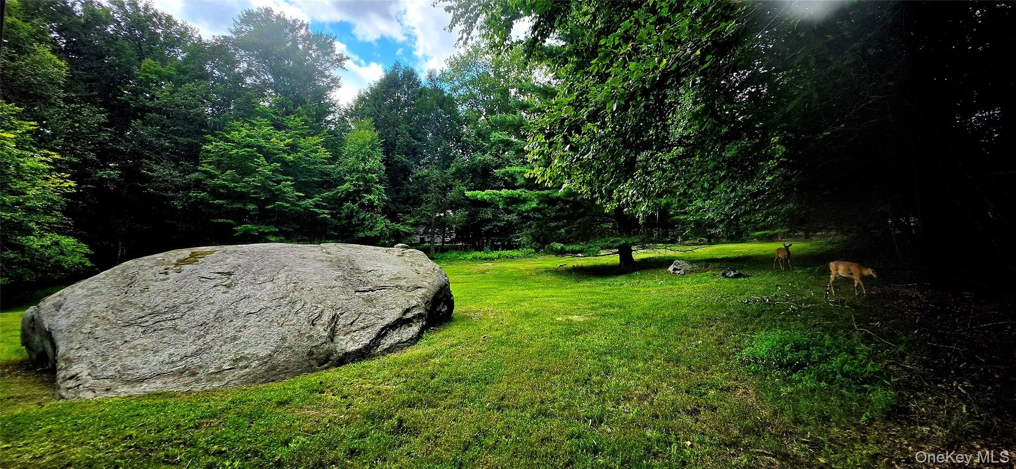 106 Pine Grove Road Tr 127, Bethel, NY, 5 Bedrooms Bedrooms, 9 Rooms Rooms,4 BathroomsBathrooms,Residential,For Rent,Pine Grove Road Tr 127,0,1033578 106 Pine Grove Road Tr 127, Bethel, NY, 5 Bedrooms Bedrooms, 9 Rooms Rooms,4 BathroomsBathrooms,Residential,For Rent,Pine Grove Road Tr 127,0,1033578