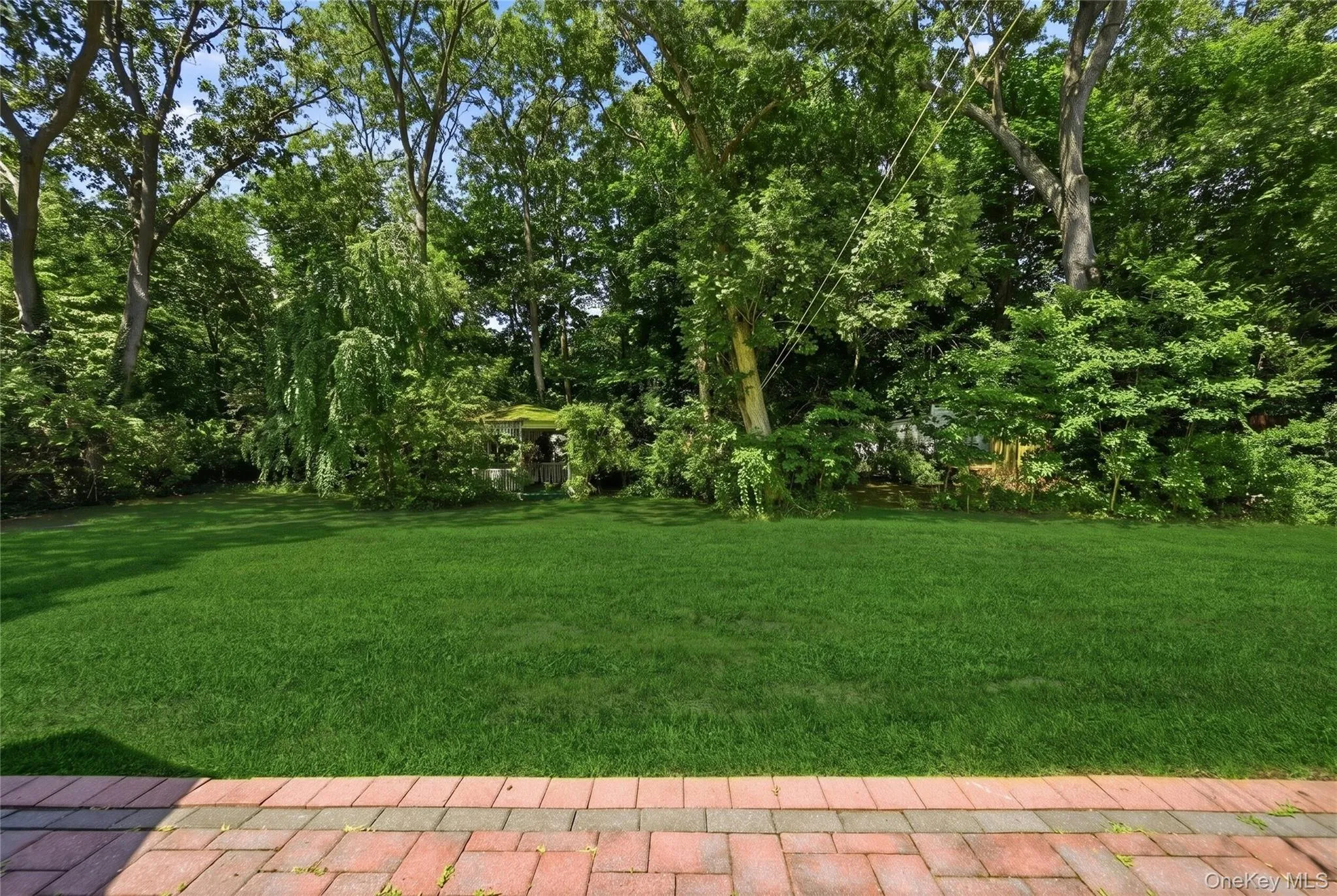 Partly wooded backyard Partly wooded backyard