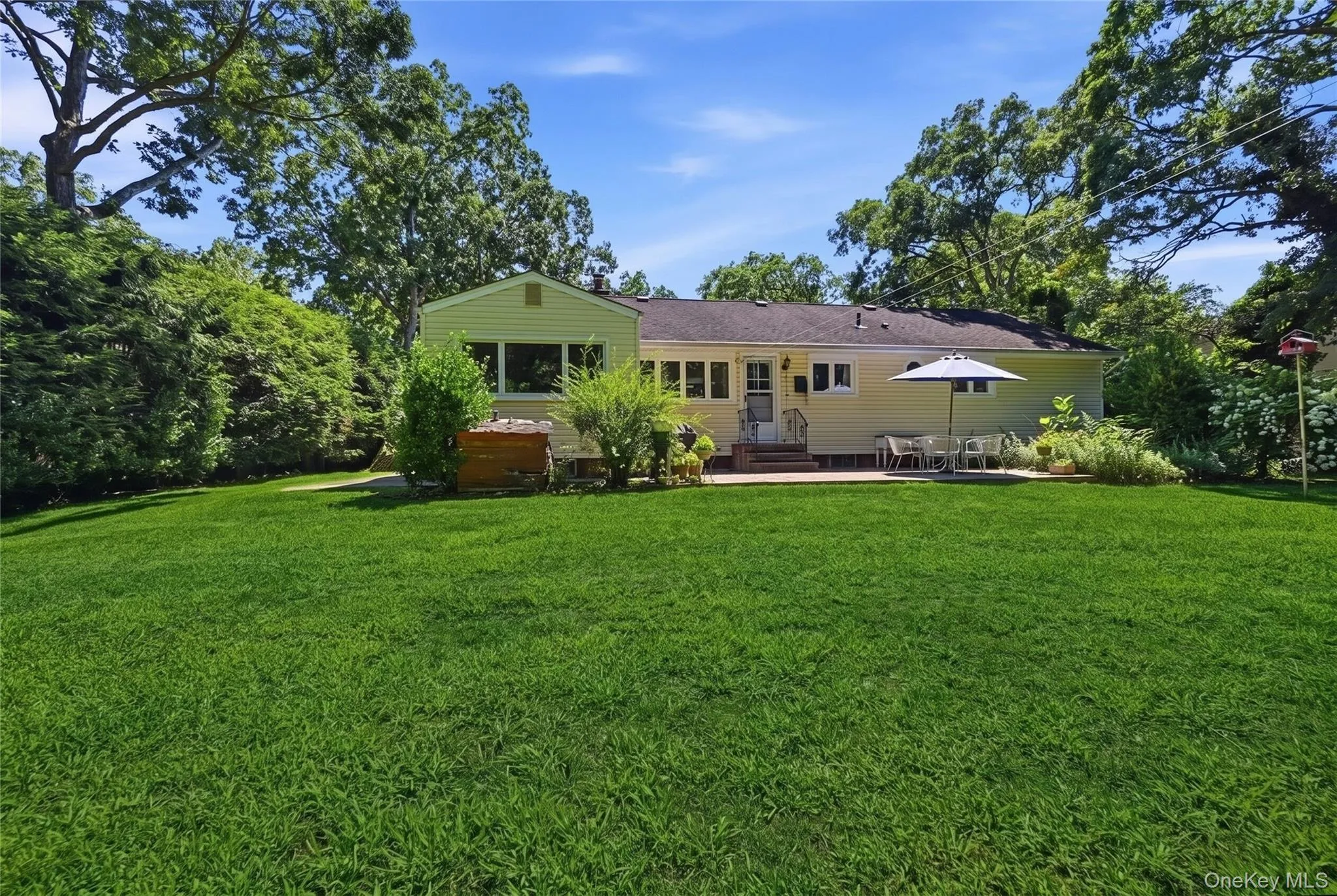 Large manicured backyard Large manicured backyard