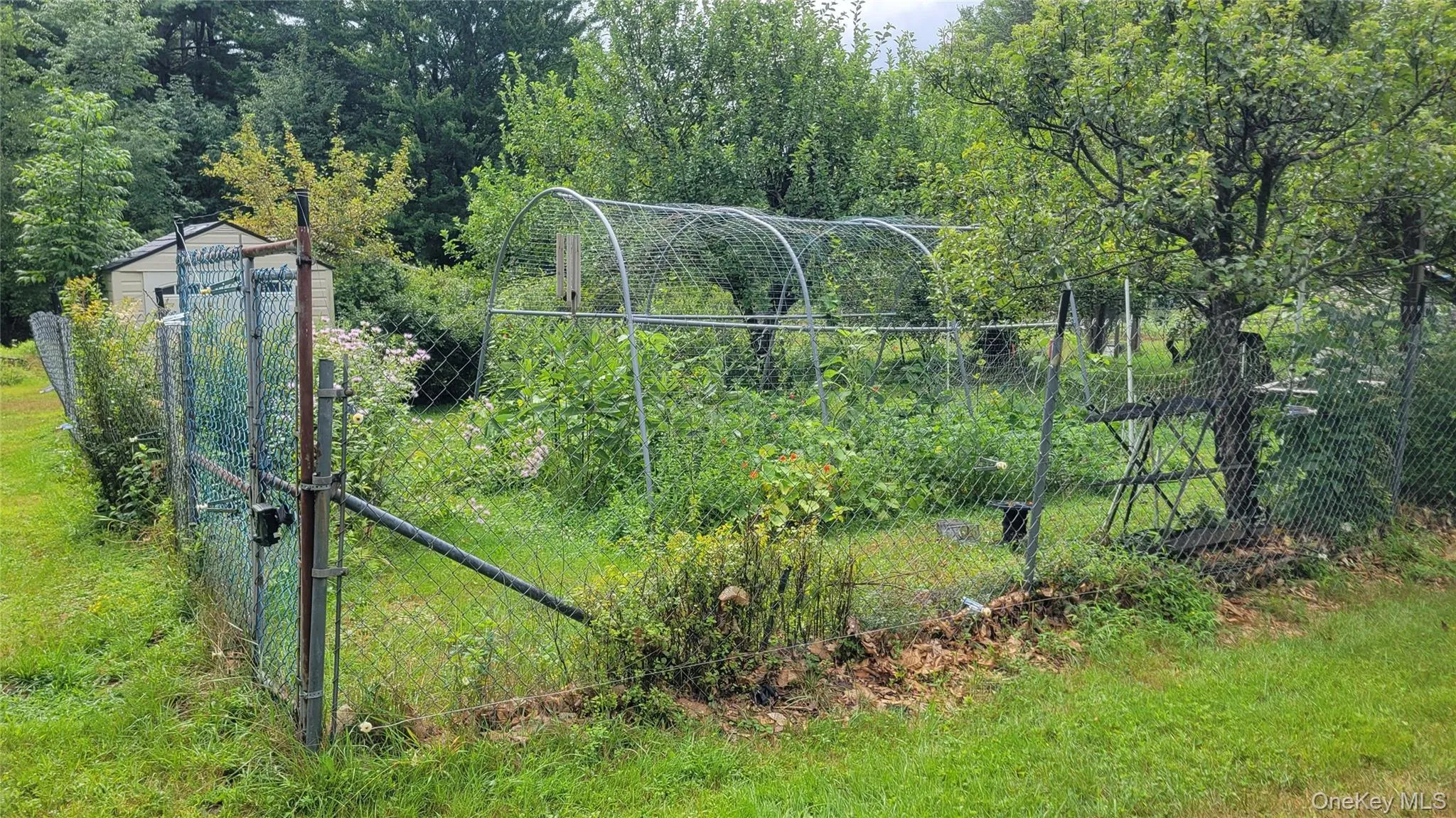 Garden Garden