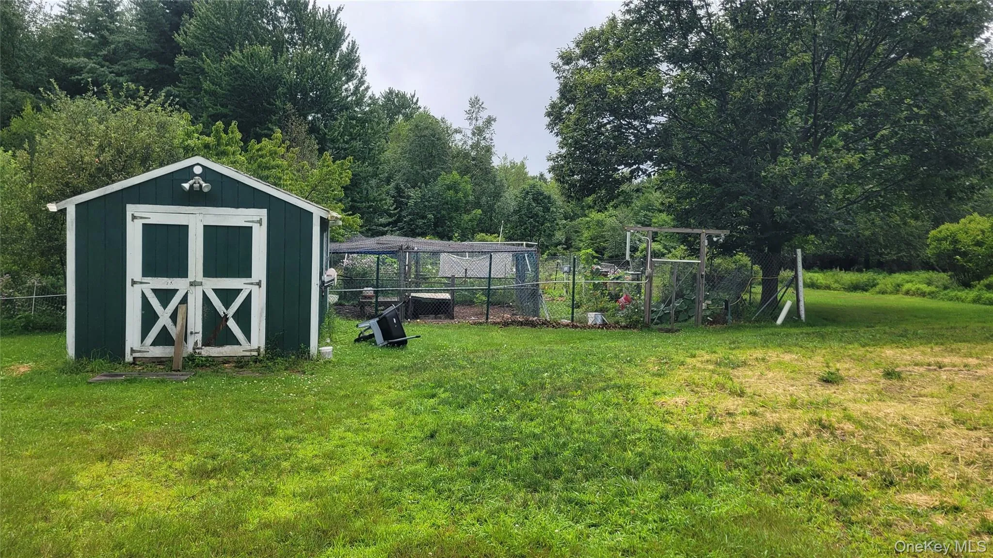 Shed and garden Shed and garden