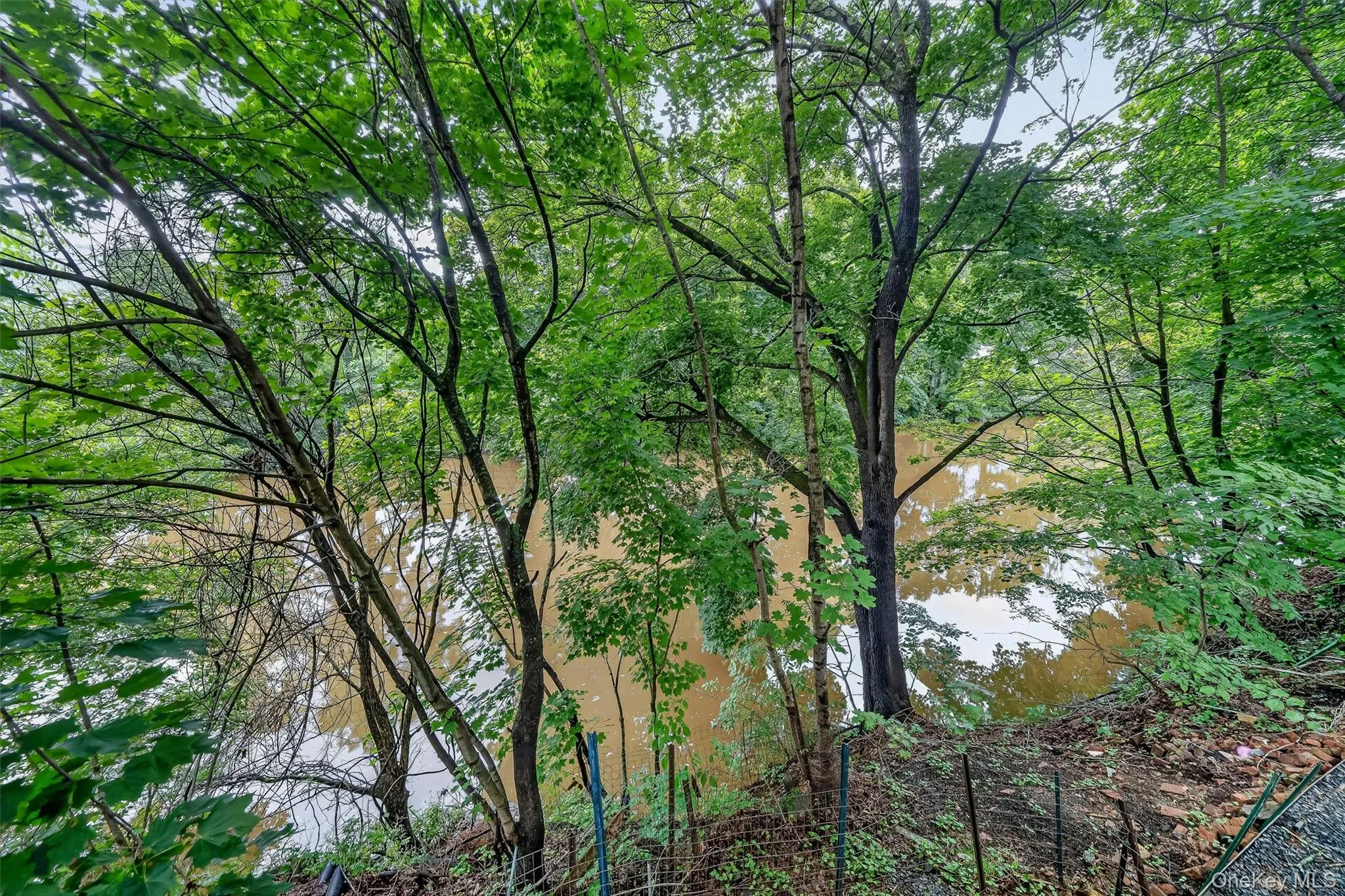 64 Orrs Mills Road, New Windsor, NY, 2 Bedrooms Bedrooms, 5 Rooms Rooms,1 BathroomBathrooms,Residential Lease,For Rent,Orrs Mills,0,1033638 64 Orrs Mills Road, New Windsor, NY, 2 Bedrooms Bedrooms, 5 Rooms Rooms,1 BathroomBathrooms,Residential Lease,For Rent,Orrs Mills,0,1033638