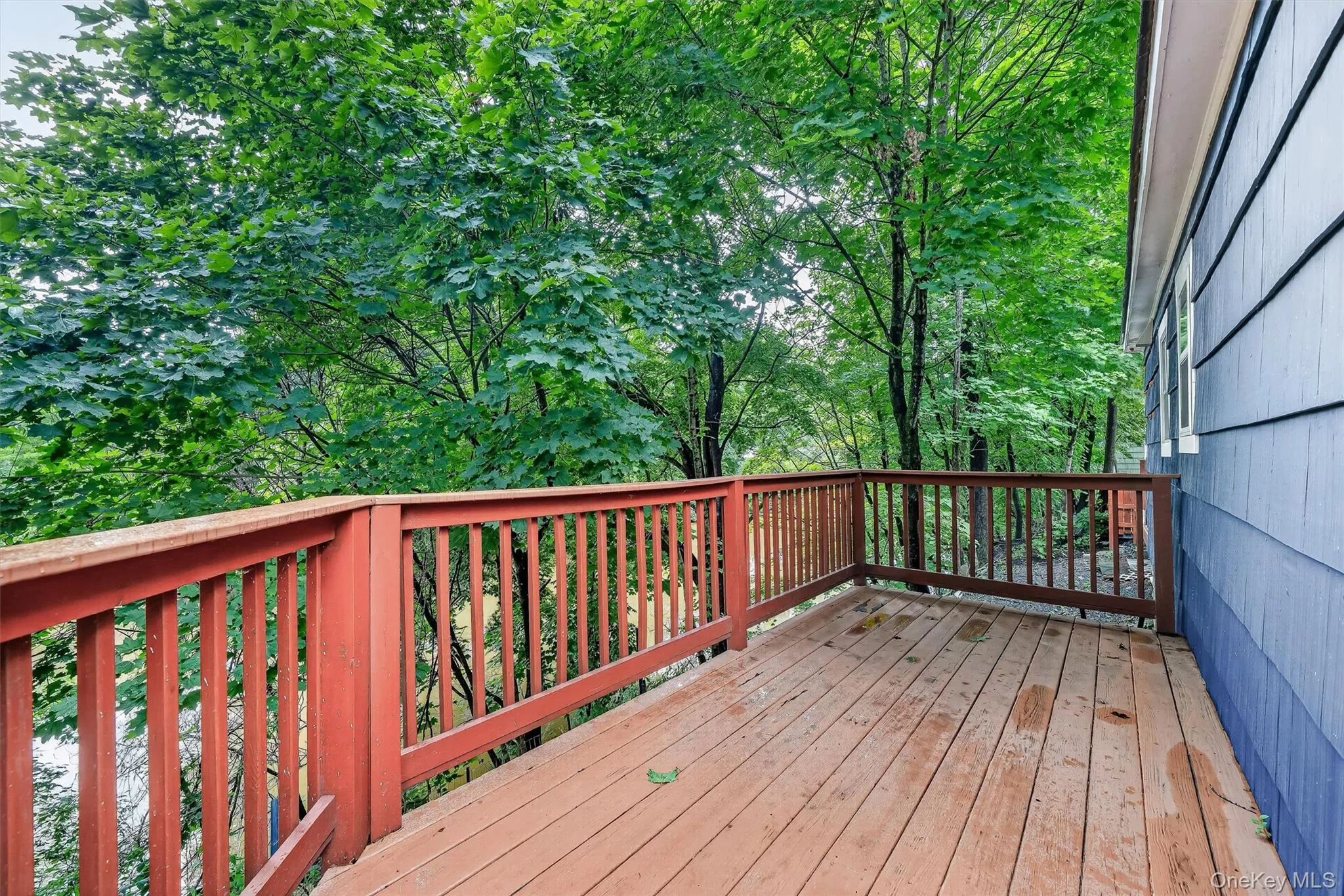 64 Orrs Mills Road, New Windsor, NY, 2 Bedrooms Bedrooms, 5 Rooms Rooms,1 BathroomBathrooms,Residential Lease,For Rent,Orrs Mills,0,1033638 64 Orrs Mills Road, New Windsor, NY, 2 Bedrooms Bedrooms, 5 Rooms Rooms,1 BathroomBathrooms,Residential Lease,For Rent,Orrs Mills,0,1033638