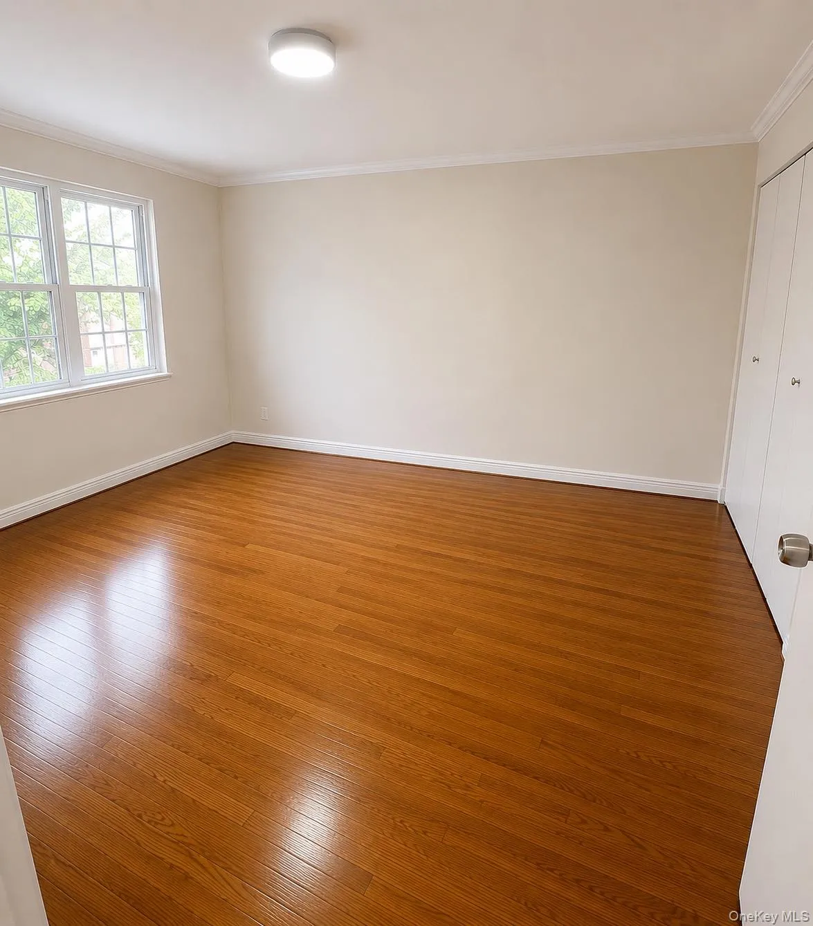 67-38 108th Street, New York, NY, 2 Bedrooms Bedrooms, 3 Rooms Rooms,1 BathroomBathrooms,Residential,For Rent,108th,0,1033643 67-38 108th Street, New York, NY, 2 Bedrooms Bedrooms, 3 Rooms Rooms,1 BathroomBathrooms,Residential,For Rent,108th,0,1033643