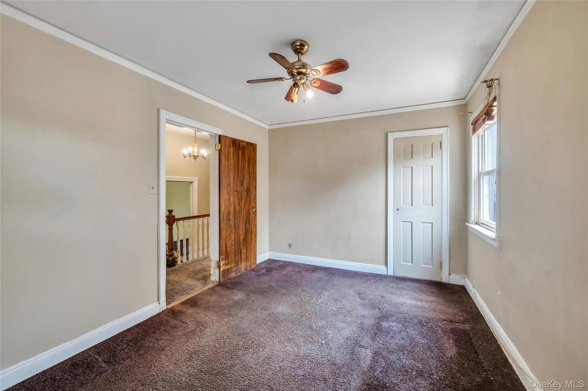 78-28 222nd Street, New York, NY, 3 Bedrooms Bedrooms, 7 Rooms Rooms,1 BathroomBathrooms,Residential,For Rent,222nd,0,1033665 78-28 222nd Street, New York, NY, 3 Bedrooms Bedrooms, 7 Rooms Rooms,1 BathroomBathrooms,Residential,For Rent,222nd,0,1033665