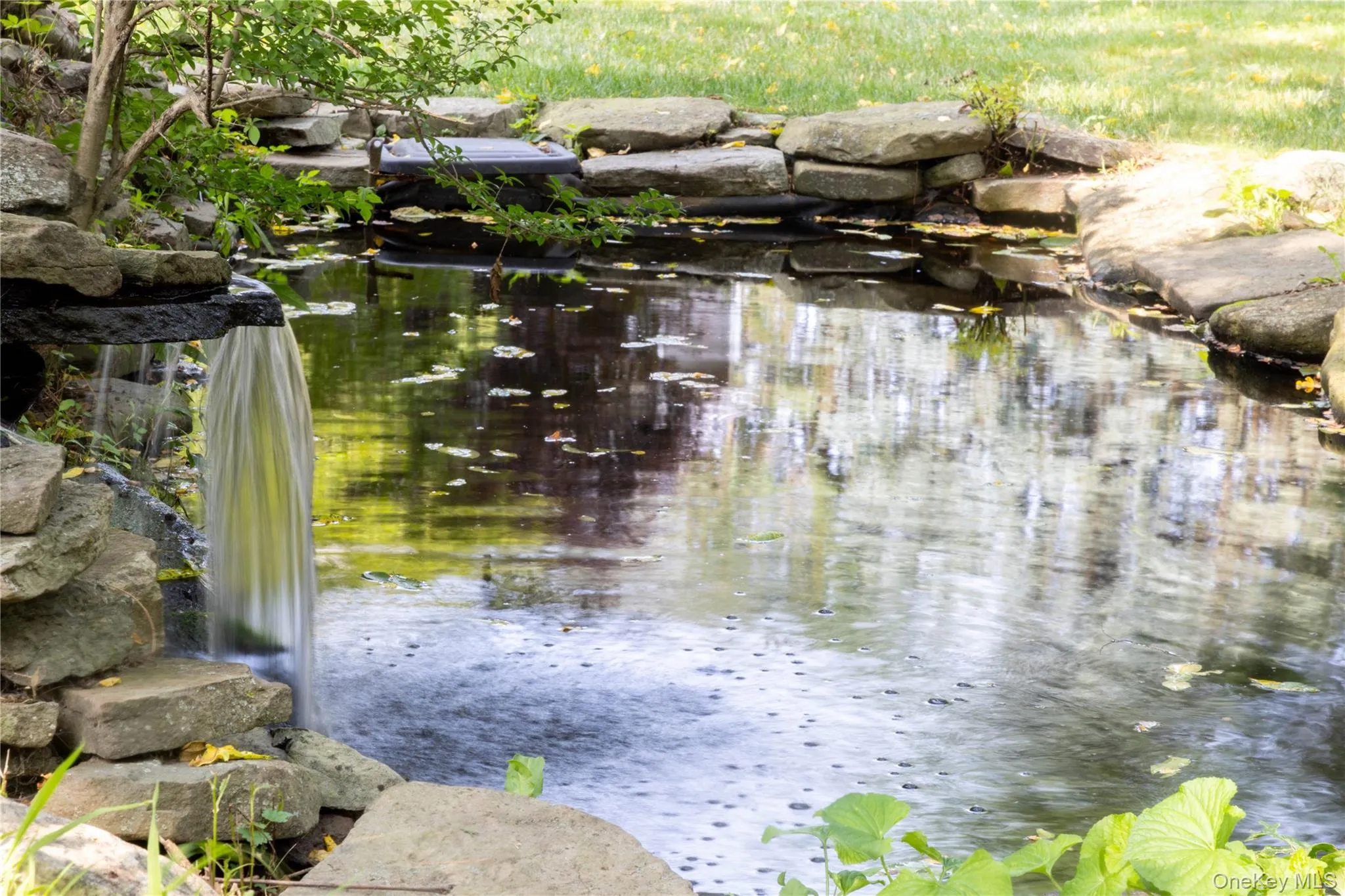 Koi pond with waterfall Koi pond with waterfall