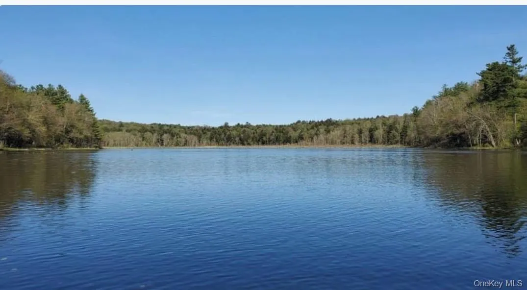 5 Lakeview Terrace, Thompson, NY, 3 Bedrooms Bedrooms, 5 Rooms Rooms,3 BathroomsBathrooms,Residential,For Rent,Lakeview,0,1033705 5 Lakeview Terrace, Thompson, NY, 3 Bedrooms Bedrooms, 5 Rooms Rooms,3 BathroomsBathrooms,Residential,For Rent,Lakeview,0,1033705