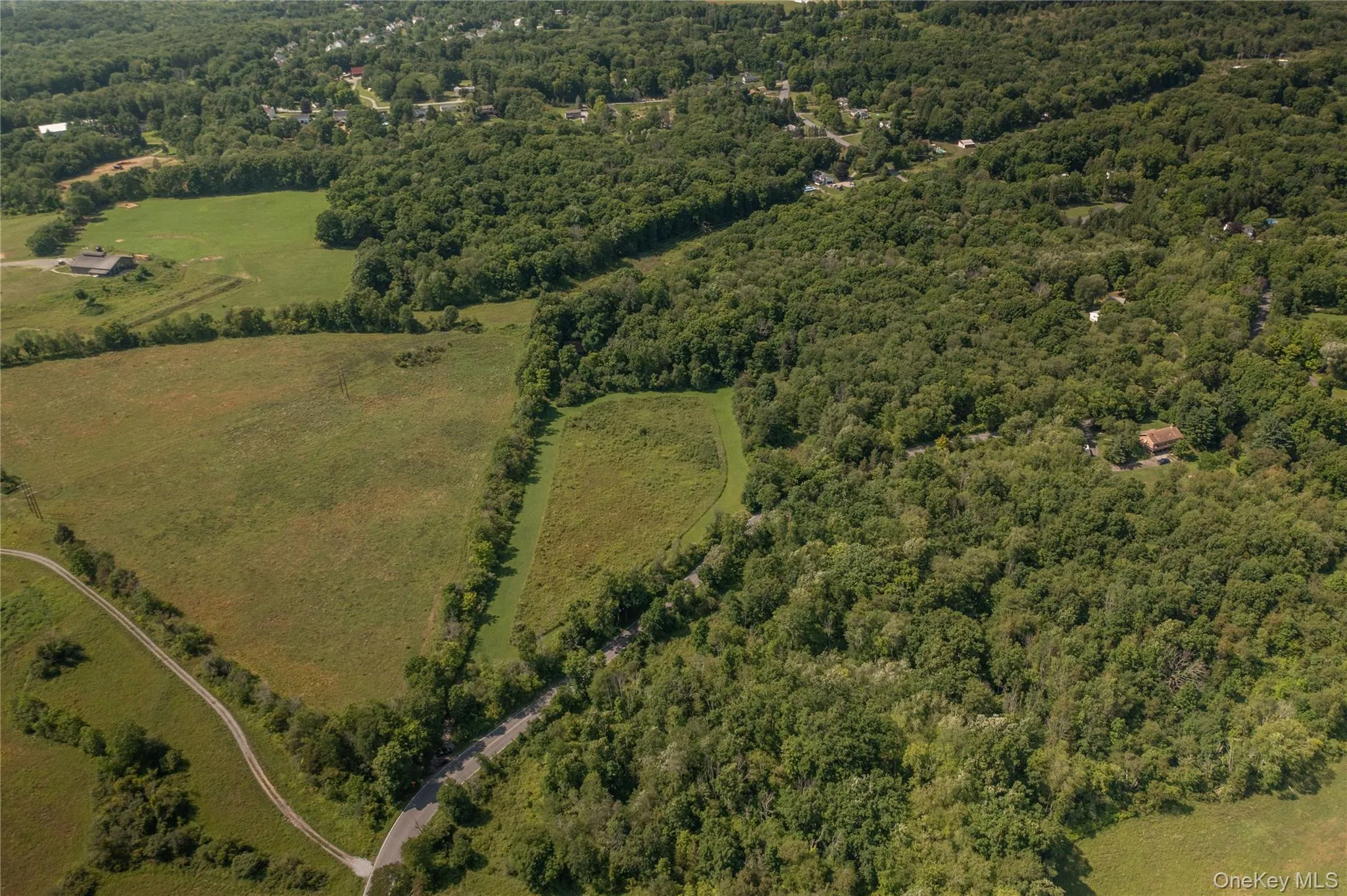 Land starts at the treeline (running through center of photo). The house is in the clump of trees just above the field to the right of the tree line. Land starts at the treeline (running through center of photo). The house is in the clump of trees just above the field to the right of the tree line.