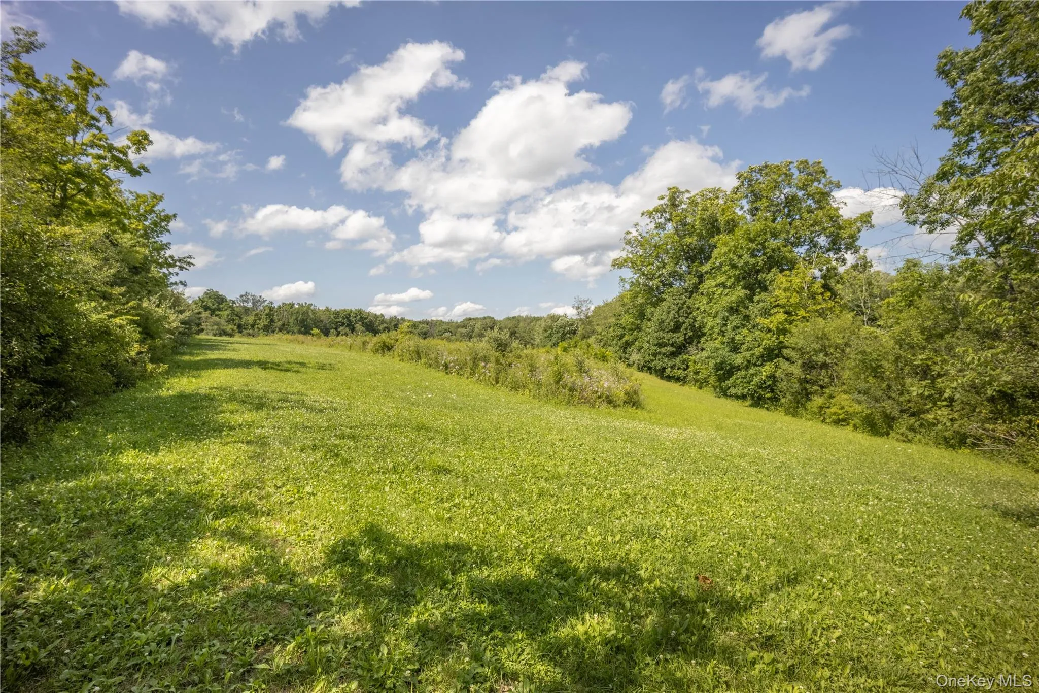 147 Lauer Road, La Grange, NY, 1 Bedroom Bedrooms, 4 Rooms Rooms,1 BathroomBathrooms,Residential,For Rent,Lauer,0,1033717 147 Lauer Road, La Grange, NY, 1 Bedroom Bedrooms, 4 Rooms Rooms,1 BathroomBathrooms,Residential,For Rent,Lauer,0,1033717