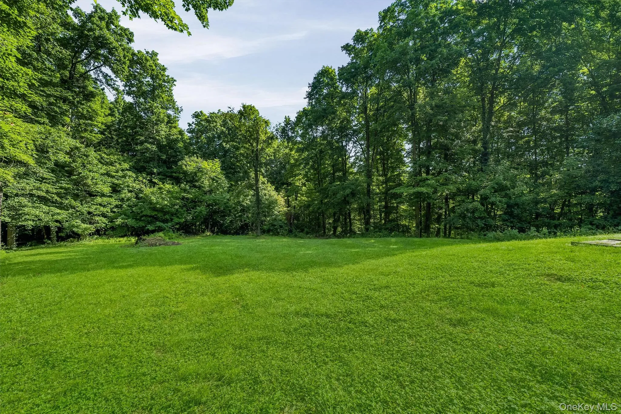66 Whitetail Run, Blooming Grove, NY, 3 Bedrooms Bedrooms, 10 Rooms Rooms,1 BathroomBathrooms,Residential,For Rent,Whitetail,0,1033721 66 Whitetail Run, Blooming Grove, NY, 3 Bedrooms Bedrooms, 10 Rooms Rooms,1 BathroomBathrooms,Residential,For Rent,Whitetail,0,1033721