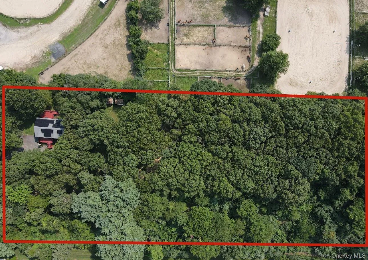 224C Country Road, Brookhaven, NY, 4 Bedrooms Bedrooms, 9 Rooms Rooms,3 BathroomsBathrooms,Residential,For Rent,Country,0,1033728 224C Country Road, Brookhaven, NY, 4 Bedrooms Bedrooms, 9 Rooms Rooms,3 BathroomsBathrooms,Residential,For Rent,Country,0,1033728