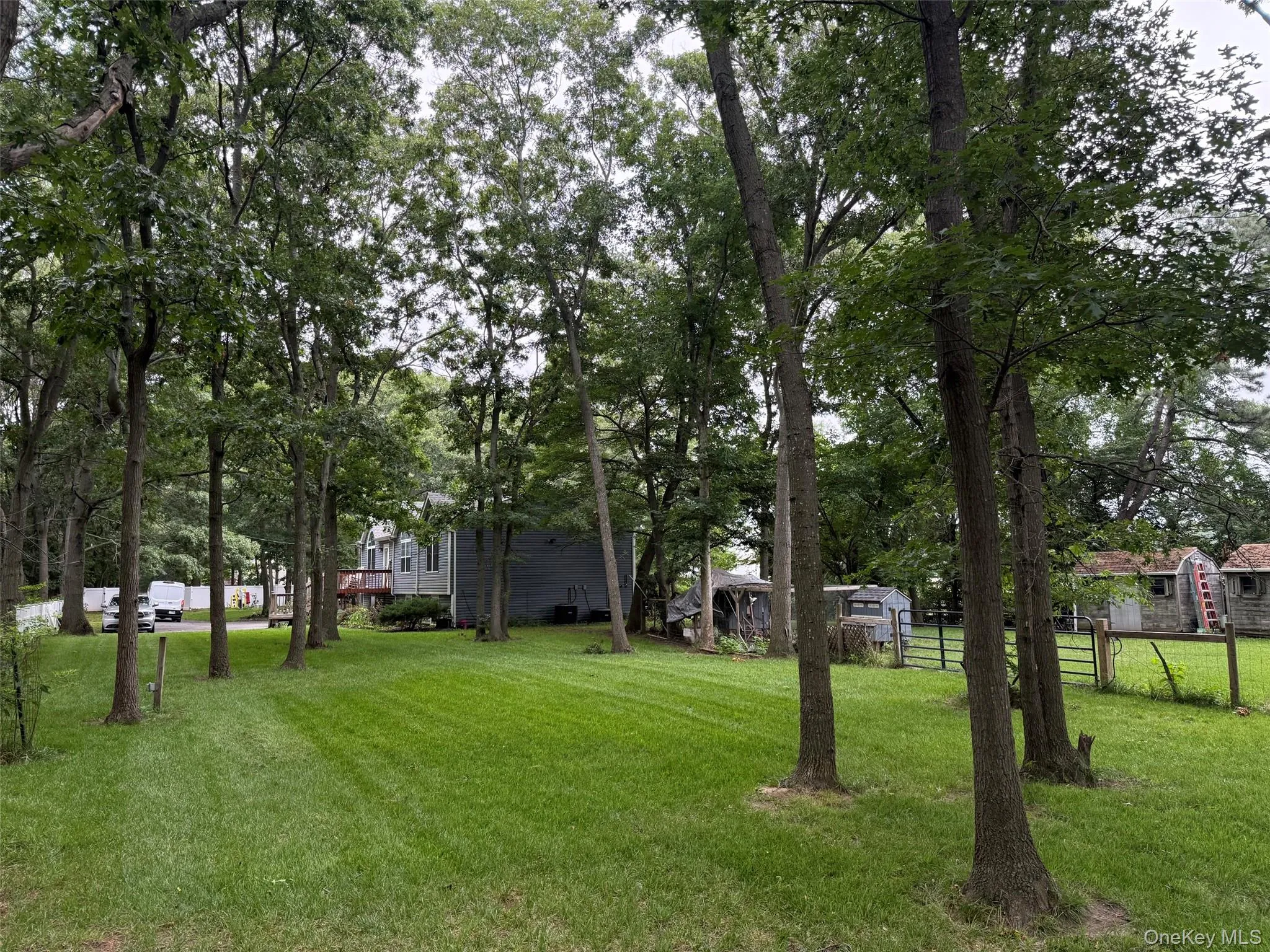 224C Country Road, Brookhaven, NY, 4 Bedrooms Bedrooms, 9 Rooms Rooms,3 BathroomsBathrooms,Residential,For Rent,Country,0,1033728 224C Country Road, Brookhaven, NY, 4 Bedrooms Bedrooms, 9 Rooms Rooms,3 BathroomsBathrooms,Residential,For Rent,Country,0,1033728