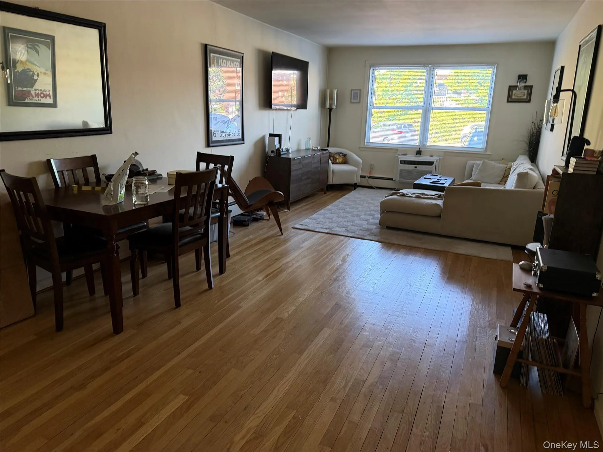 Large living room Large living room
