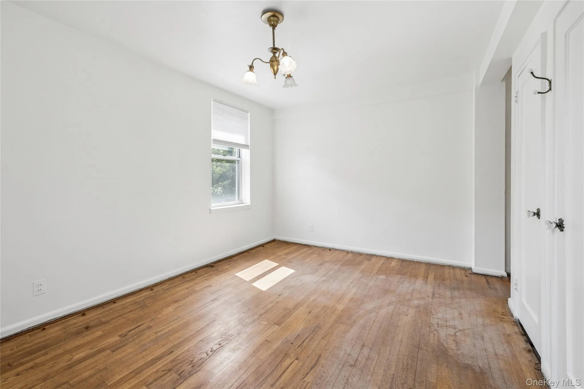 247 Parkview Avenue, Yonkers, NY, 2 Bedrooms Bedrooms, 4 Rooms Rooms,1 BathroomBathrooms,Residential,For Rent,Parkview,0,1033744 247 Parkview Avenue, Yonkers, NY, 2 Bedrooms Bedrooms, 4 Rooms Rooms,1 BathroomBathrooms,Residential,For Rent,Parkview,0,1033744