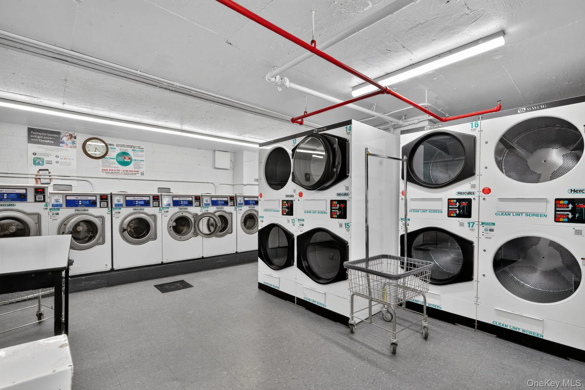 118-18 Union Turnpike, New York, NY, 3 Rooms Rooms,1 BathroomBathrooms,Residential,For Rent,Union Turnpike,0,1033801 118-18 Union Turnpike, New York, NY, 3 Rooms Rooms,1 BathroomBathrooms,Residential,For Rent,Union Turnpike,0,1033801