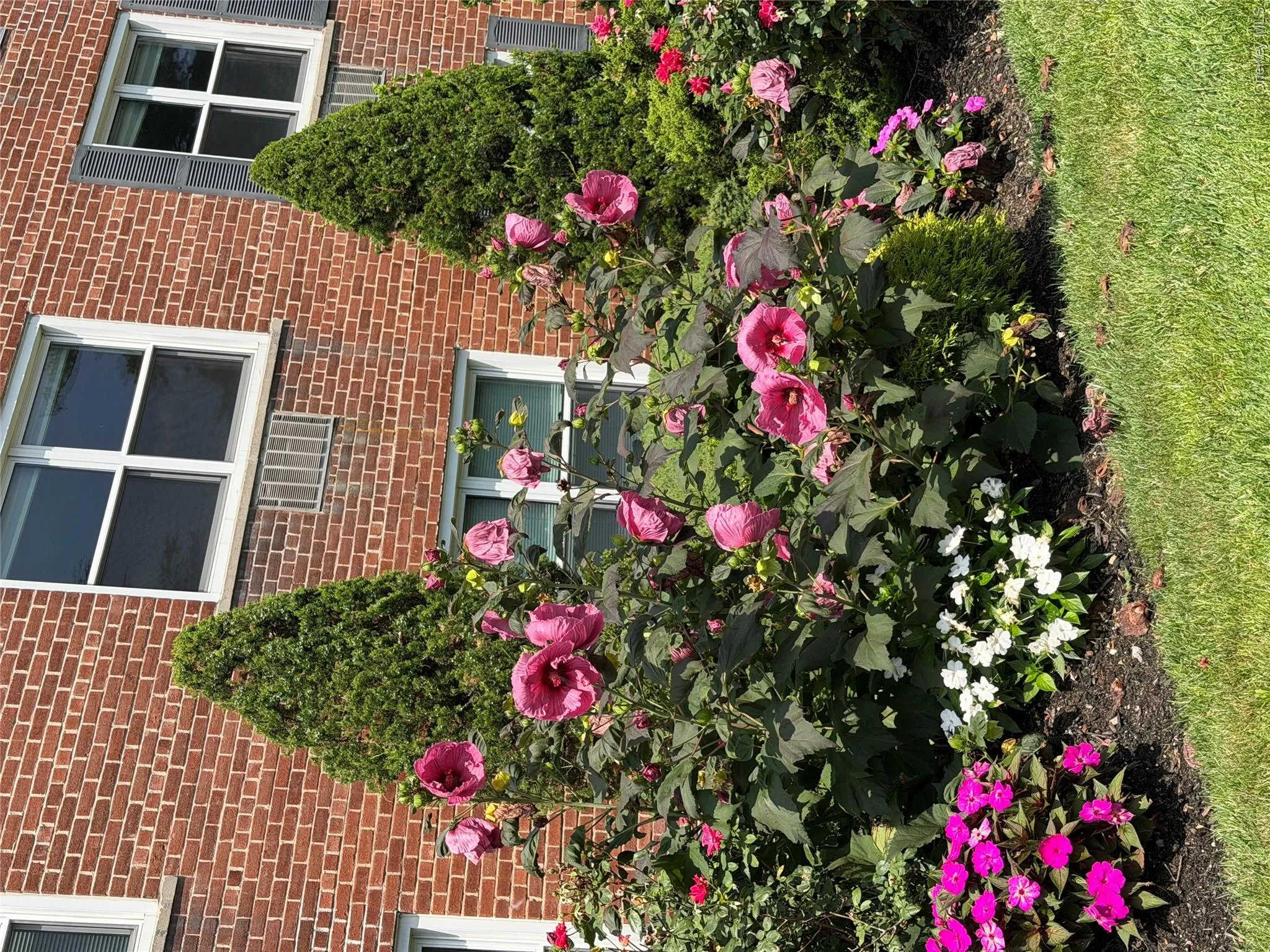 124 S Park Avenue, Hempstead, NY, 1 Bedroom Bedrooms, 4 Rooms Rooms,1 BathroomBathrooms,Residential Lease,For Rent,S Park,0,1033803 124 S Park Avenue, Hempstead, NY, 1 Bedroom Bedrooms, 4 Rooms Rooms,1 BathroomBathrooms,Residential Lease,For Rent,S Park,0,1033803
