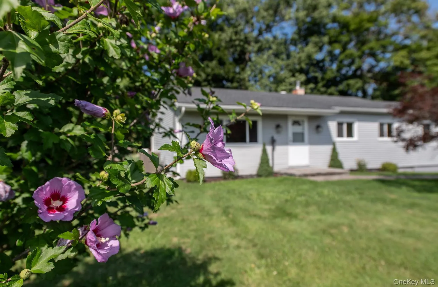 16 Trinity Place, Rhinebeck, NY, 3 Bedrooms Bedrooms, 11 Rooms Rooms,3 BathroomsBathrooms,Residential,For Rent,Trinity,0,1033820 16 Trinity Place, Rhinebeck, NY, 3 Bedrooms Bedrooms, 11 Rooms Rooms,3 BathroomsBathrooms,Residential,For Rent,Trinity,0,1033820