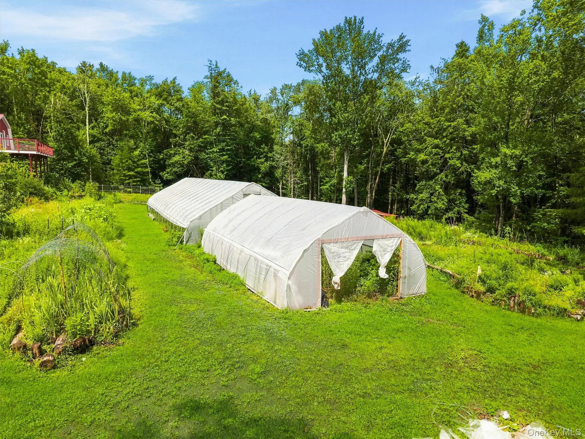 985 Cold Spring Road, Forestburgh, NY, 2 Bedrooms Bedrooms, 4 Rooms Rooms,1 BathroomBathrooms,Residential,For Rent,Cold Spring,0,1033833 985 Cold Spring Road, Forestburgh, NY, 2 Bedrooms Bedrooms, 4 Rooms Rooms,1 BathroomBathrooms,Residential,For Rent,Cold Spring,0,1033833