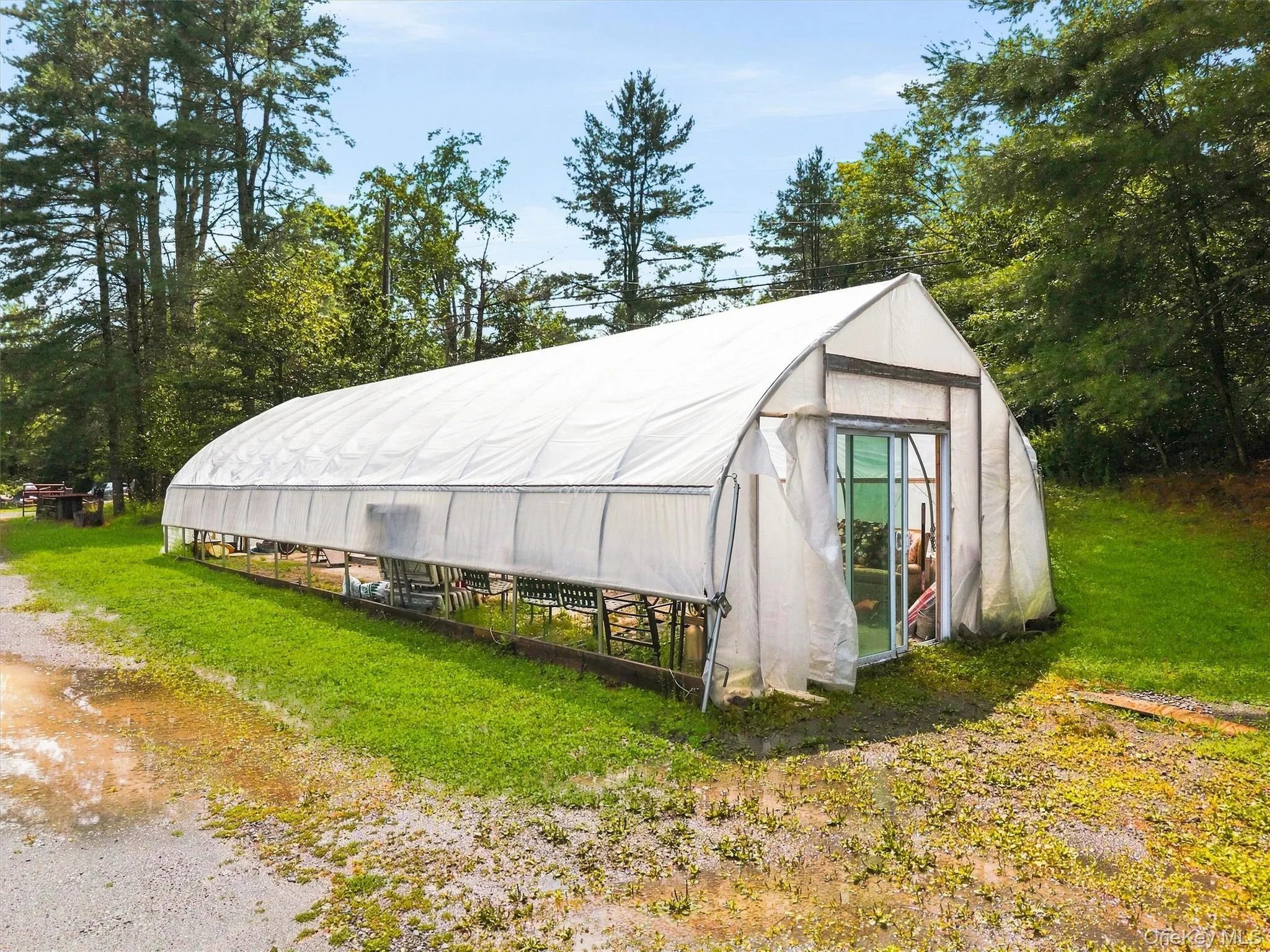 985 Cold Spring Road, Forestburgh, NY, 2 Bedrooms Bedrooms, 4 Rooms Rooms,1 BathroomBathrooms,Residential,For Rent,Cold Spring,0,1033833 985 Cold Spring Road, Forestburgh, NY, 2 Bedrooms Bedrooms, 4 Rooms Rooms,1 BathroomBathrooms,Residential,For Rent,Cold Spring,0,1033833
