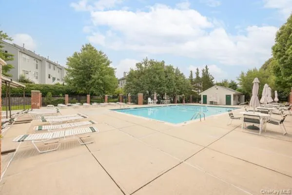 Outdoor swimming pool with concrete decking Outdoor swimming pool with concrete decking
