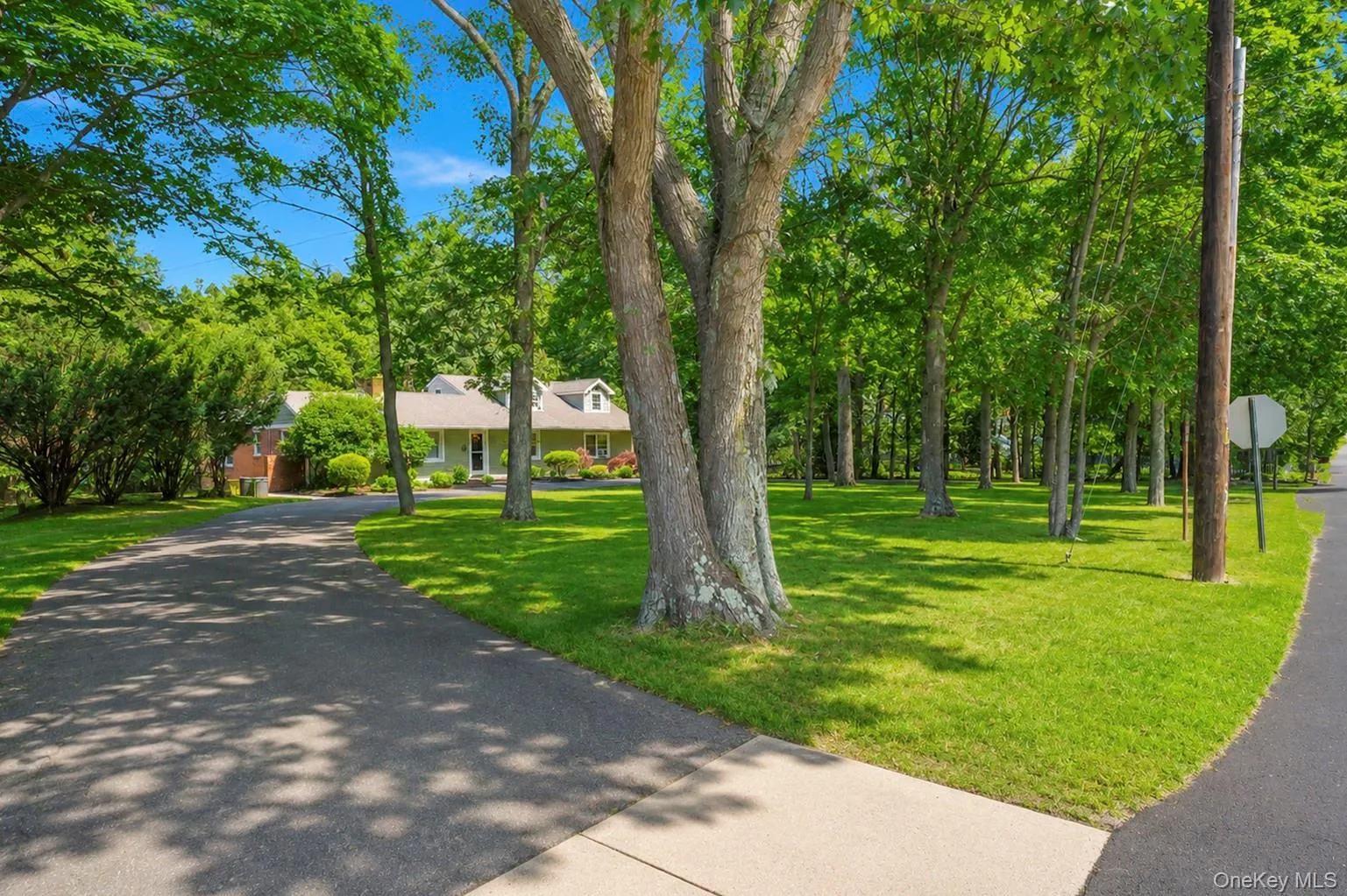 117 Hallock Road, Brookhaven, NY, 4 Bedrooms Bedrooms, 10 Rooms Rooms,2 BathroomsBathrooms,Residential,For Rent,Hallock,0,1033876 117 Hallock Road, Brookhaven, NY, 4 Bedrooms Bedrooms, 10 Rooms Rooms,2 BathroomsBathrooms,Residential,For Rent,Hallock,0,1033876