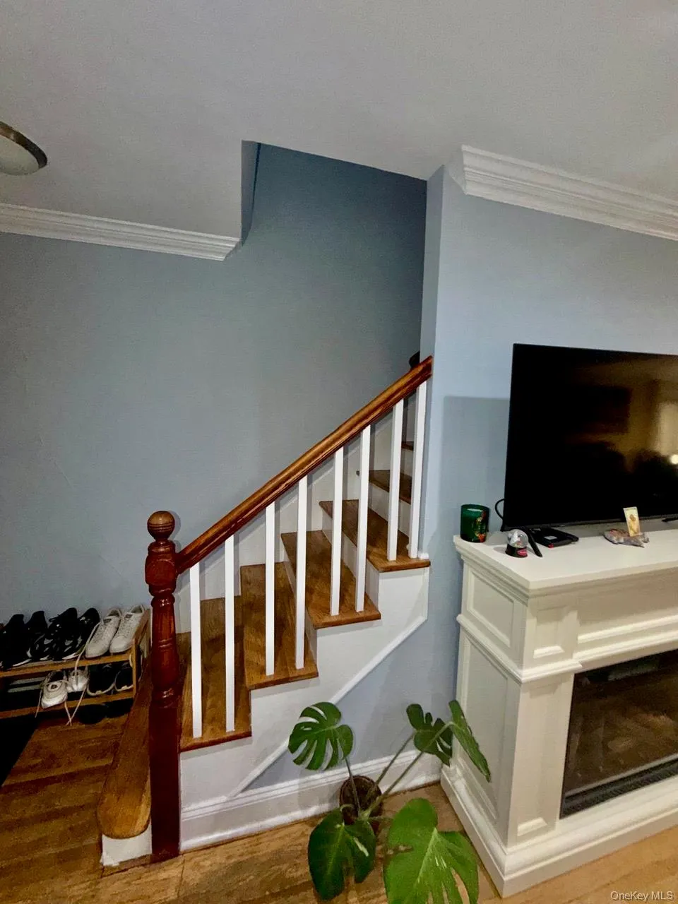 2719 Seymour Avenue, New York, NY, 3 Bedrooms Bedrooms, 6 Rooms Rooms,2 BathroomsBathrooms,Residential,For Rent,Seymour,0,1033880 2719 Seymour Avenue, New York, NY, 3 Bedrooms Bedrooms, 6 Rooms Rooms,2 BathroomsBathrooms,Residential,For Rent,Seymour,0,1033880