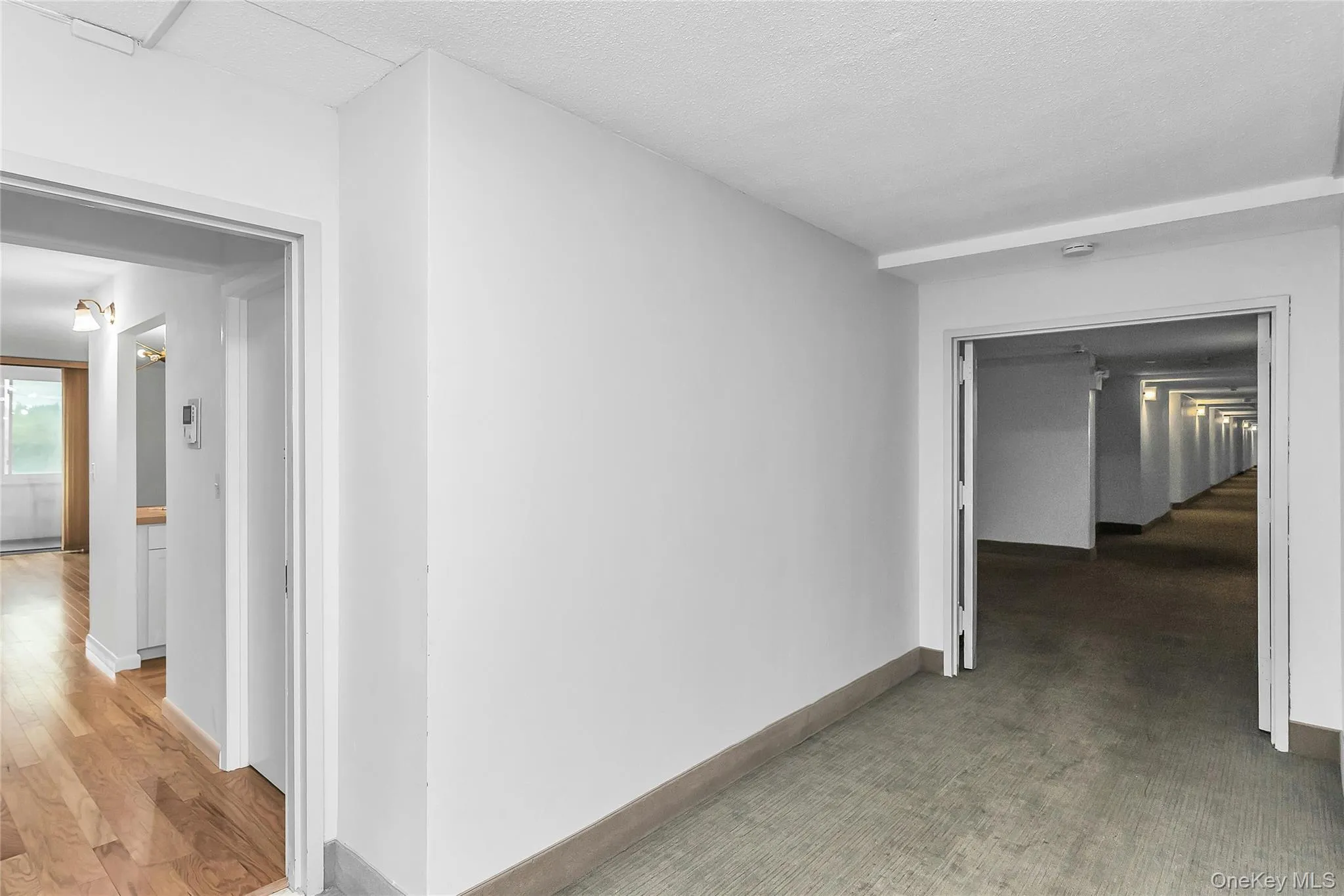 800 Willis Avenue, North Hempstead, NY, 1 Bedroom Bedrooms, 6 Rooms Rooms,1 BathroomBathrooms,Residential,For Rent,Willis,0,1033885 800 Willis Avenue, North Hempstead, NY, 1 Bedroom Bedrooms, 6 Rooms Rooms,1 BathroomBathrooms,Residential,For Rent,Willis,0,1033885