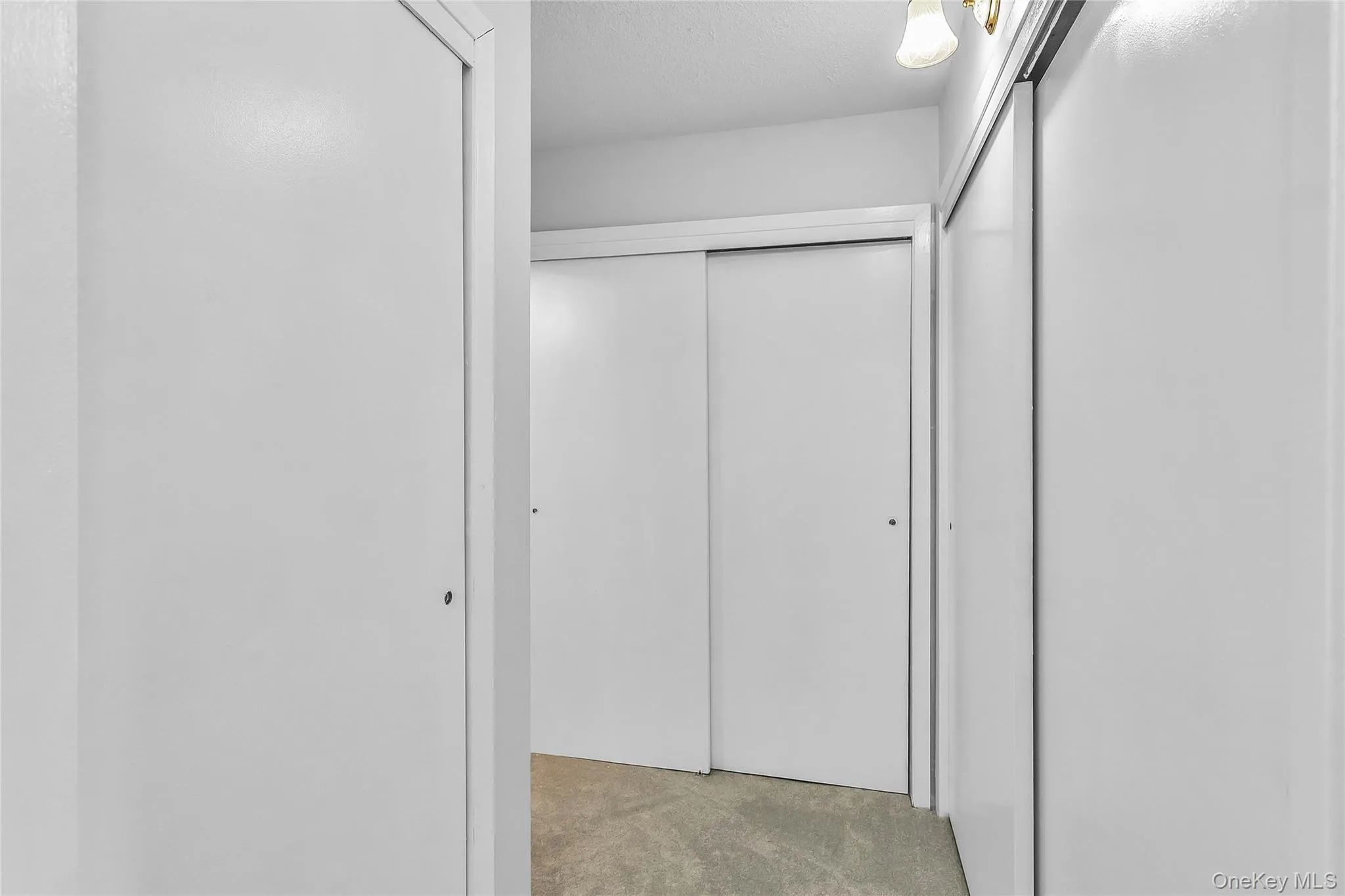 800 Willis Avenue, North Hempstead, NY, 1 Bedroom Bedrooms, 6 Rooms Rooms,1 BathroomBathrooms,Residential,For Rent,Willis,0,1033885 800 Willis Avenue, North Hempstead, NY, 1 Bedroom Bedrooms, 6 Rooms Rooms,1 BathroomBathrooms,Residential,For Rent,Willis,0,1033885